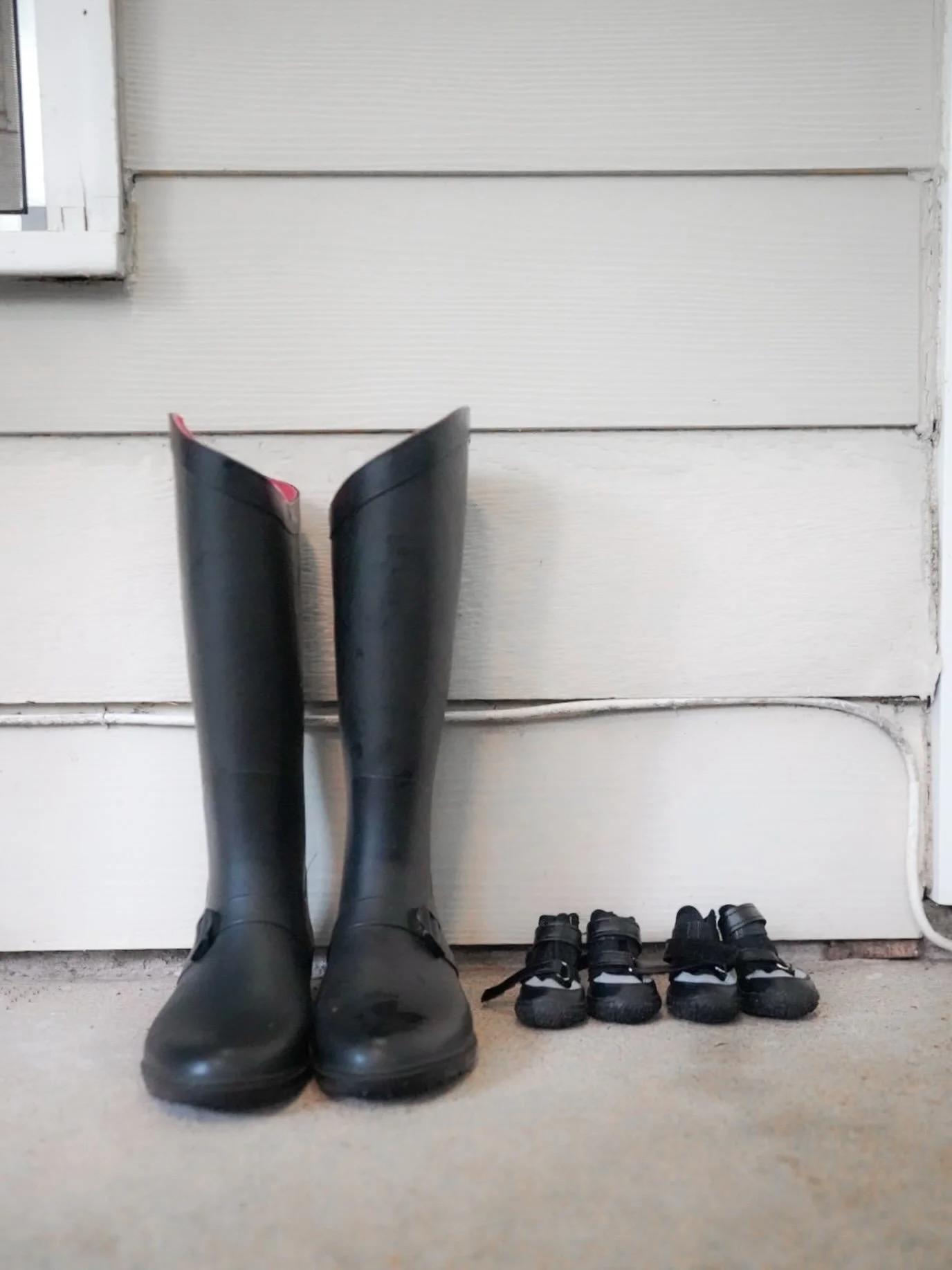 Hers and hers rain boots. 🌧️🐾

Just a girl and her soul pup, making sure we&rsquo;ve both ready to weather the storm.

&bull;
&bull;
&bull;
&bull;
&bull;

#rainyday #hurricaneisaias #rainyvibes #rainboots #westiesofinstagram