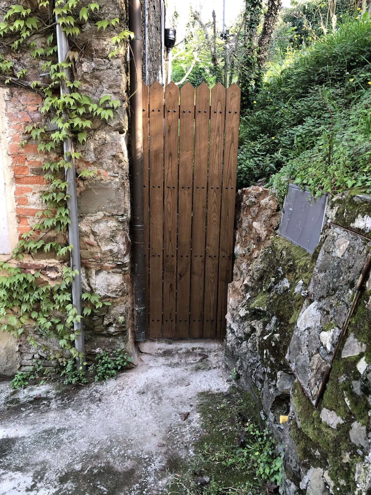 IMG_9997.JPEG