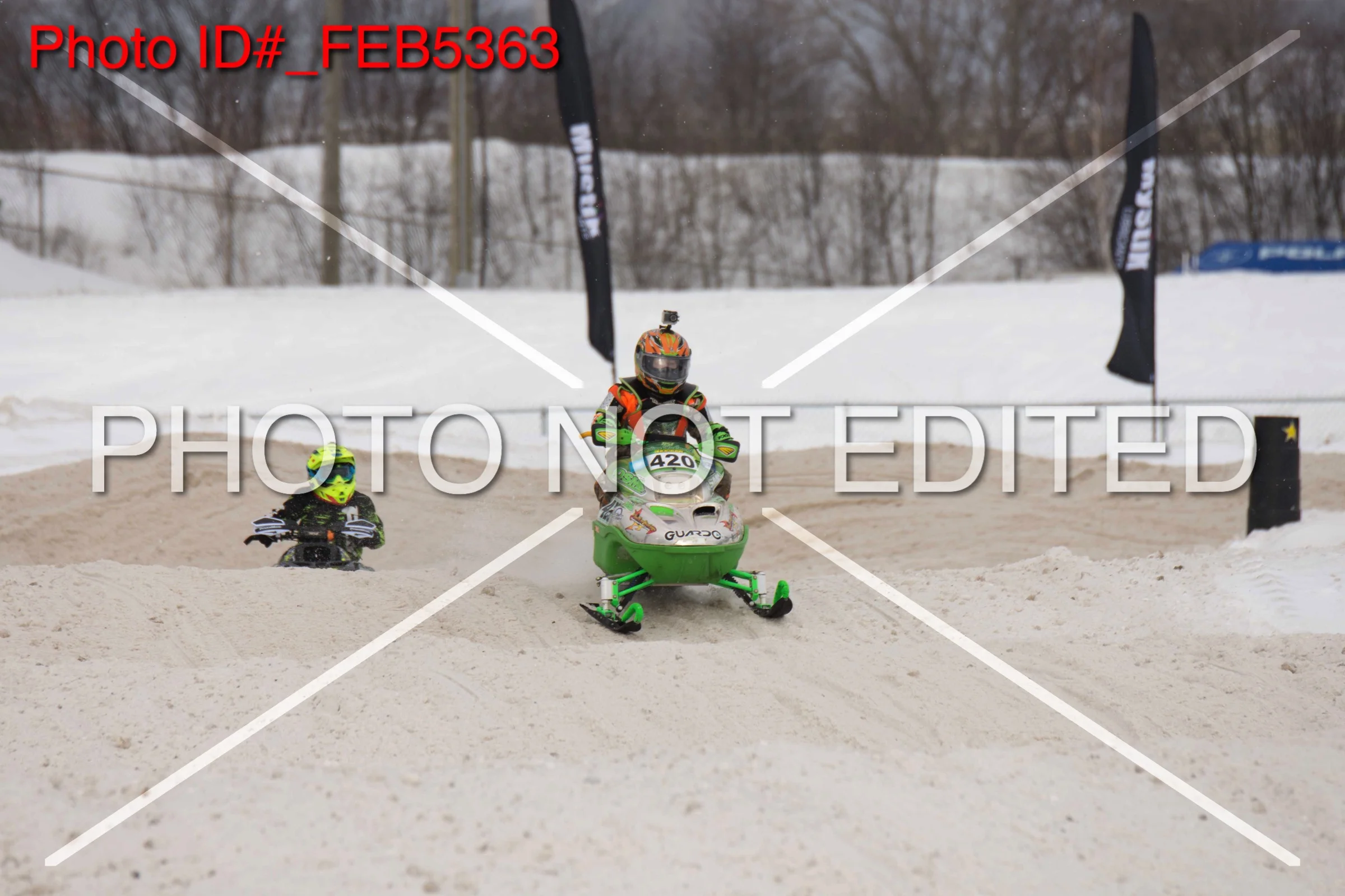 _FEB5363.jpg