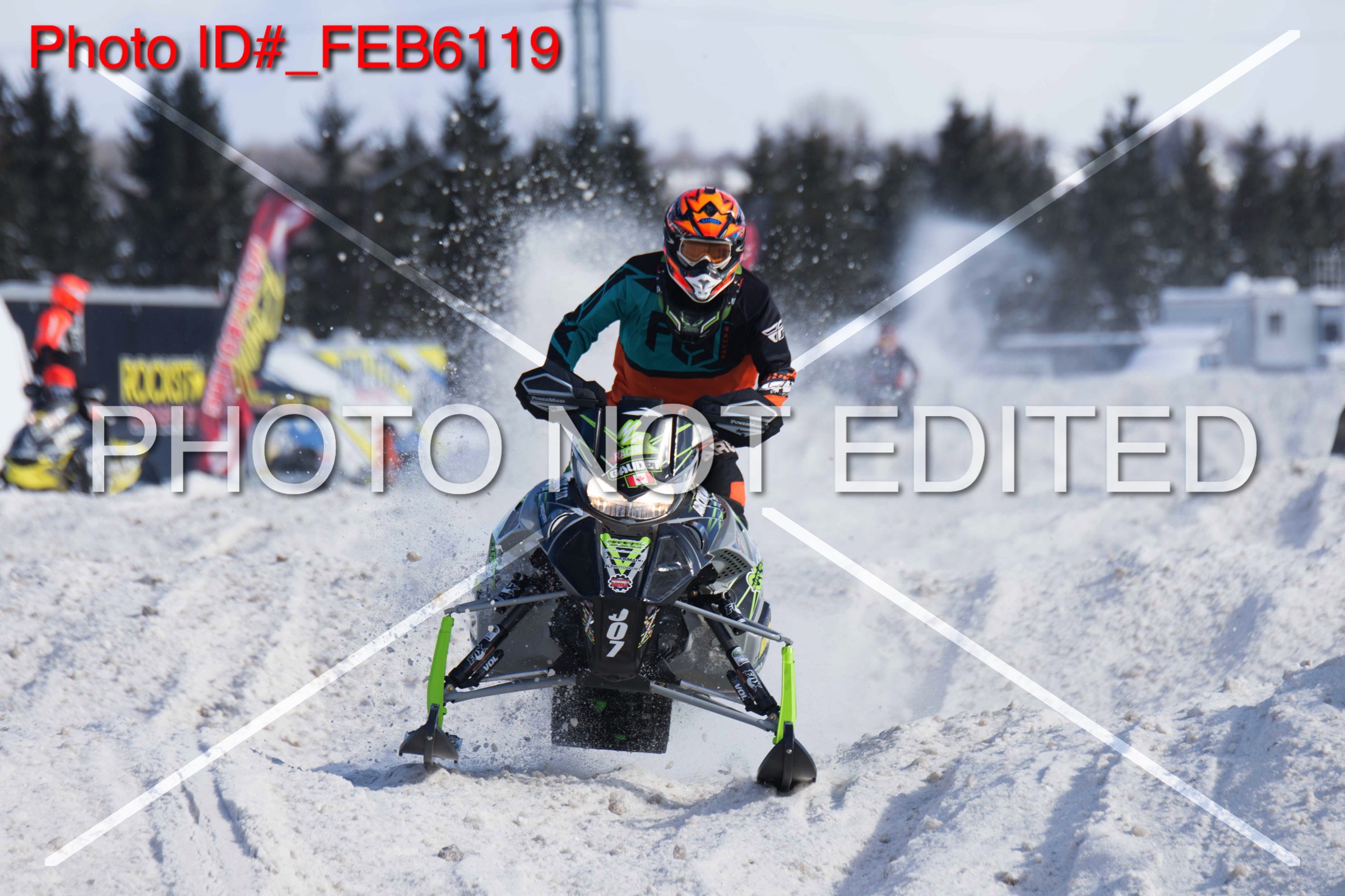 _FEB6119.jpg