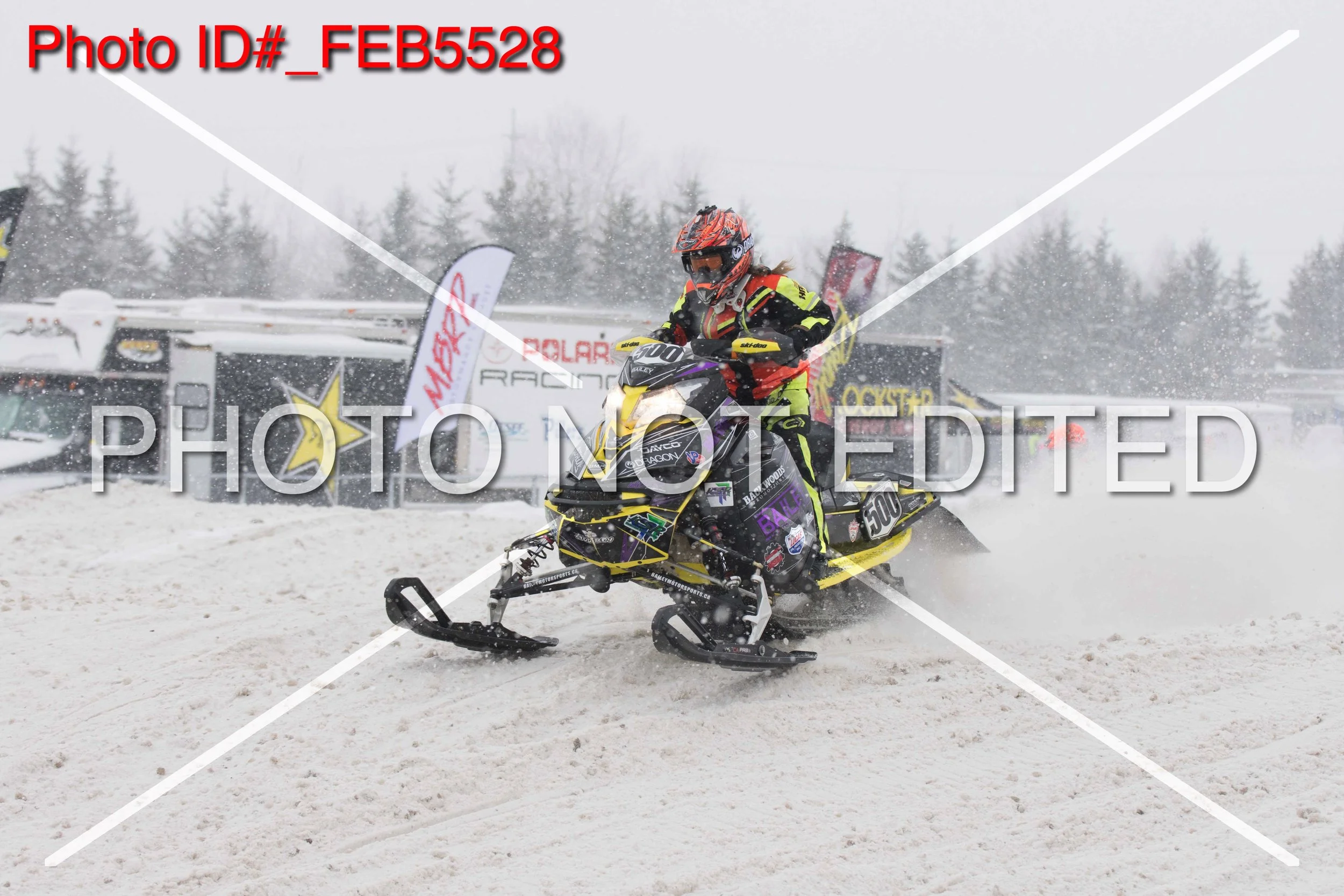 _FEB5528.jpg