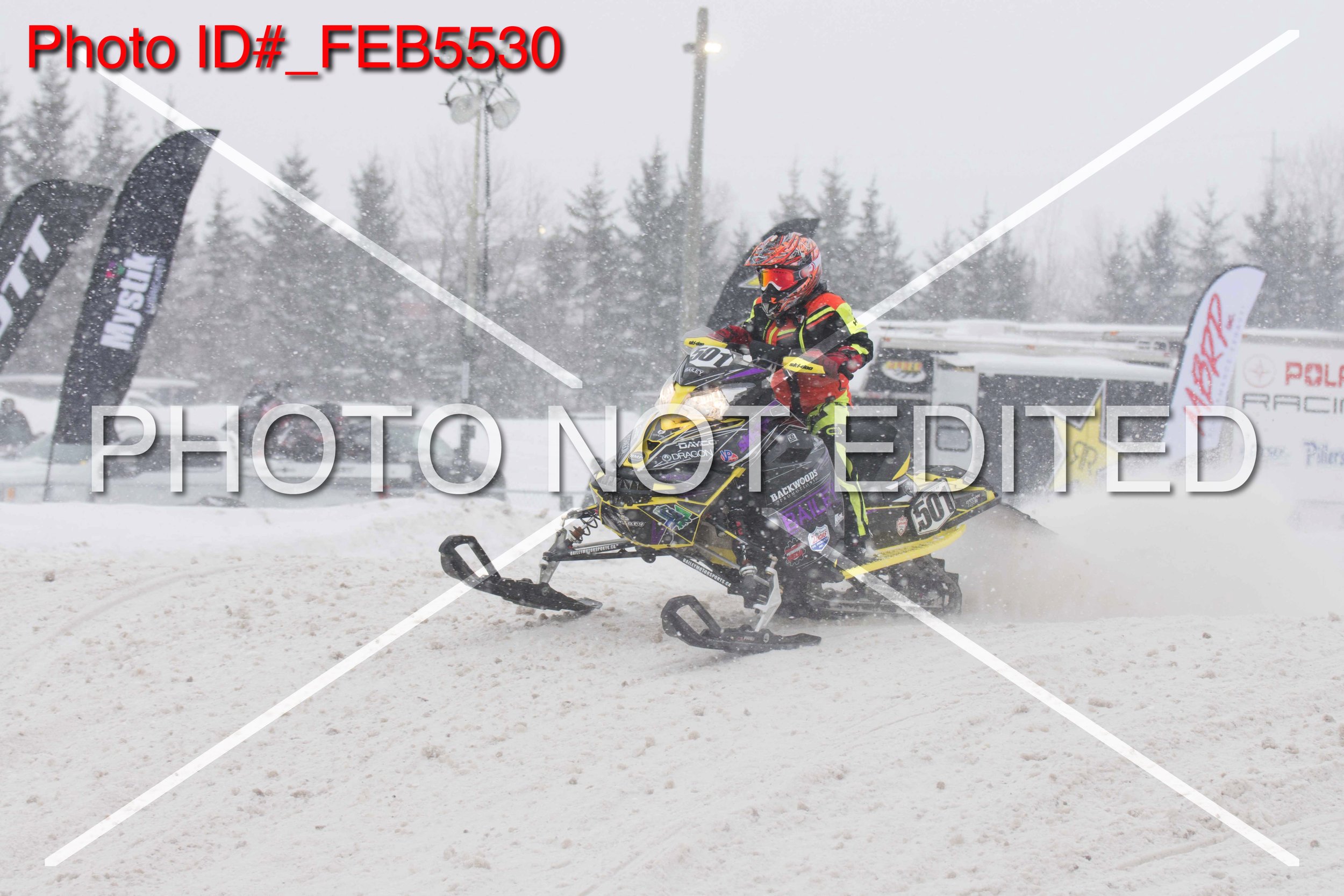_FEB5530.jpg