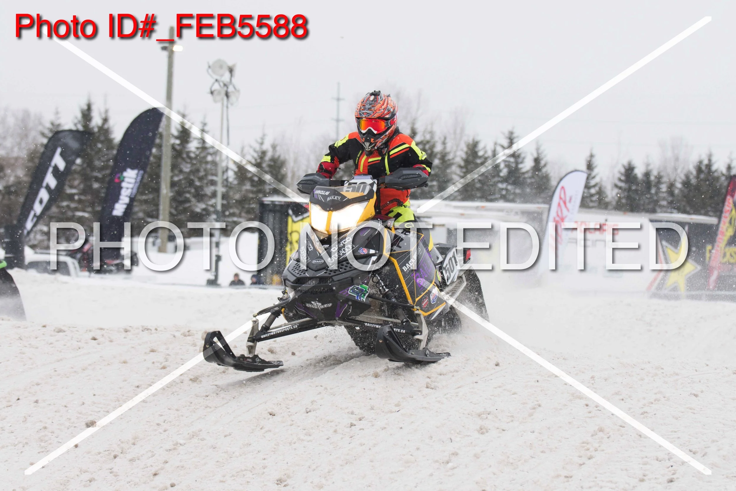 _FEB5588.jpg