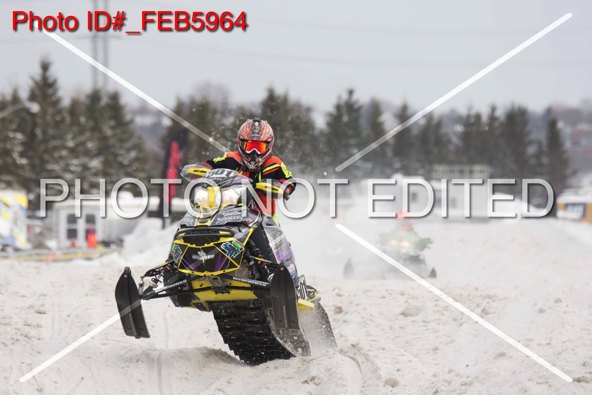 _FEB5964.jpg