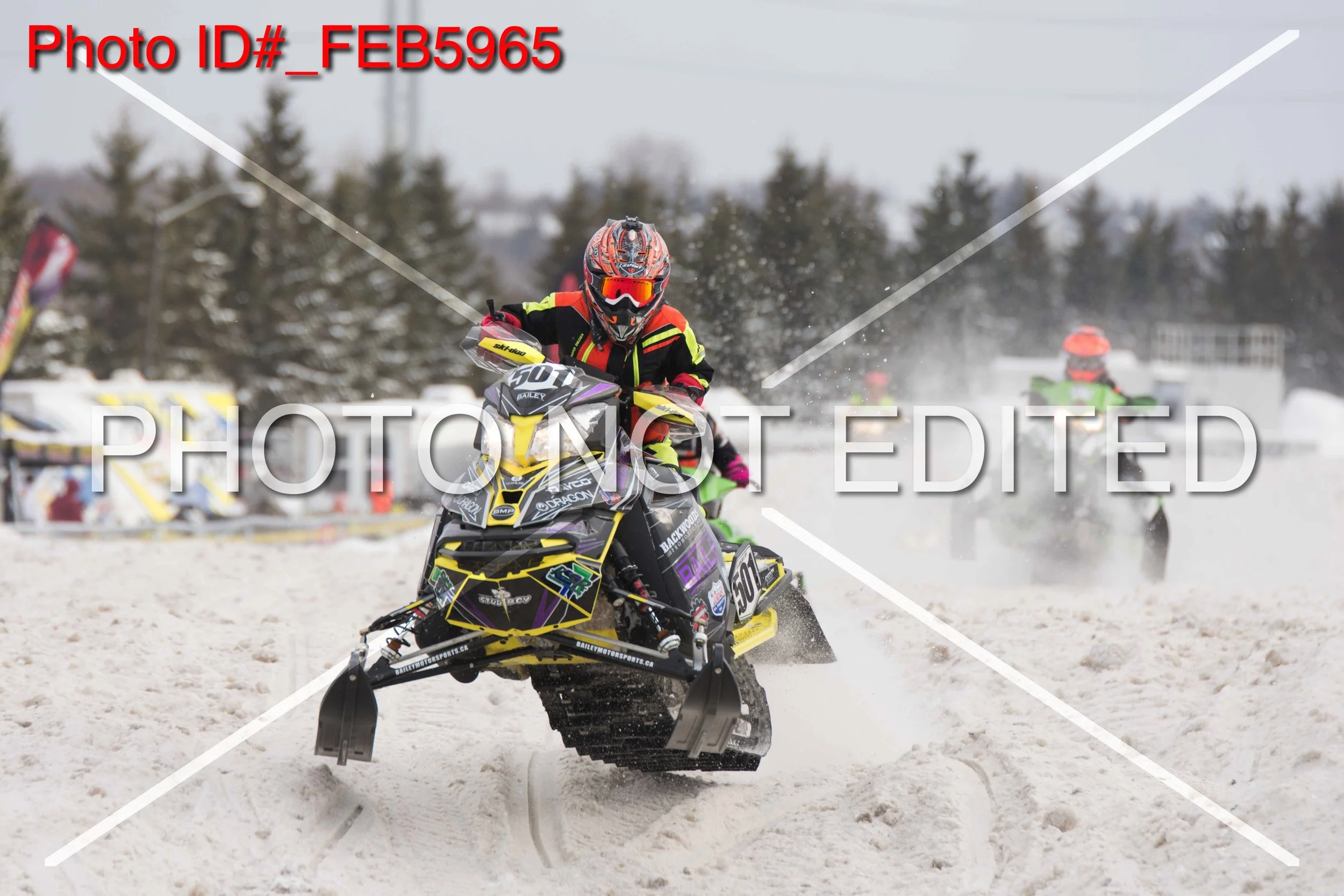 _FEB5965.jpg