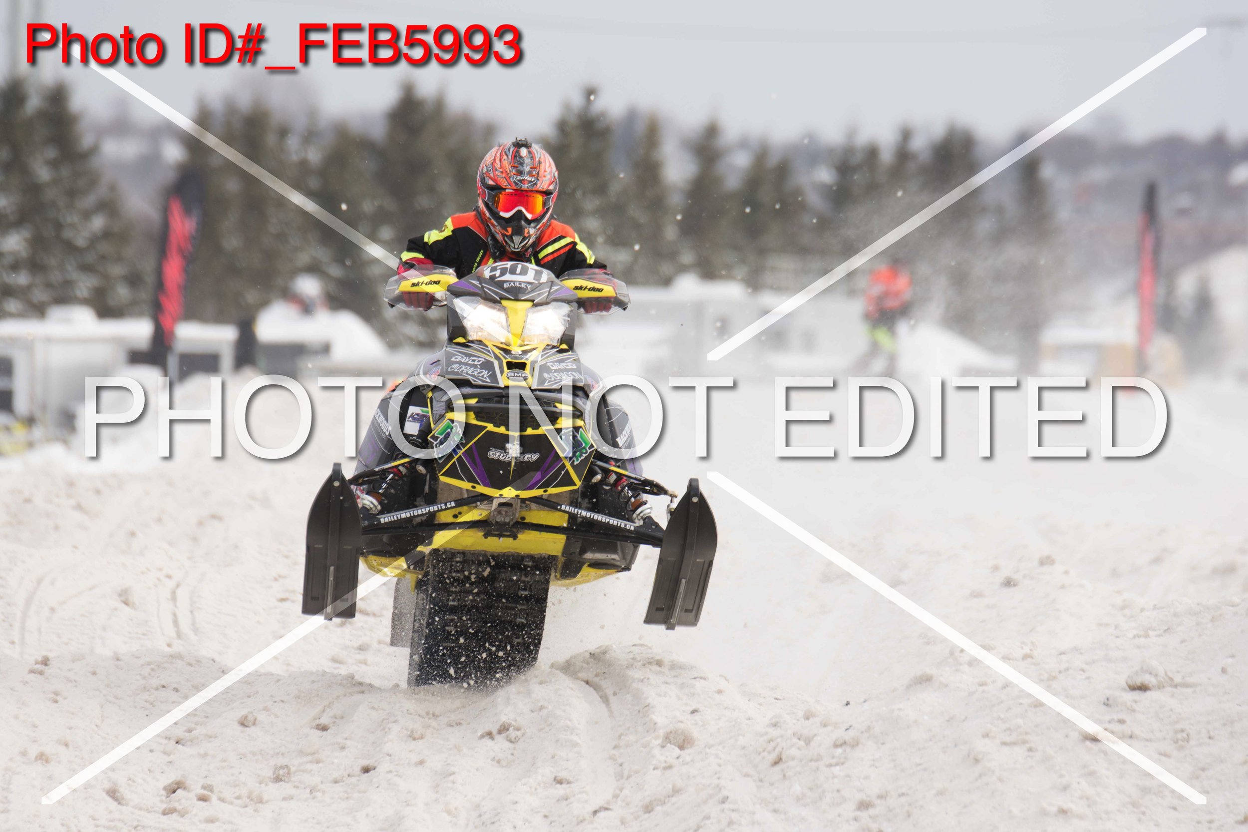 _FEB5993.jpg