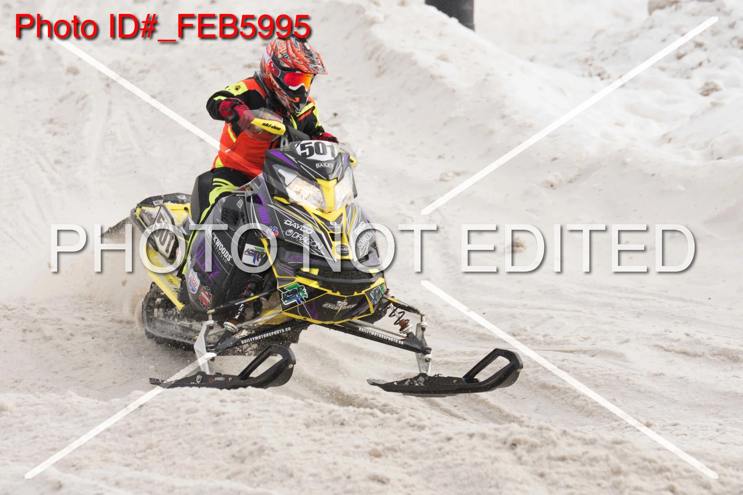 _FEB5995.jpg