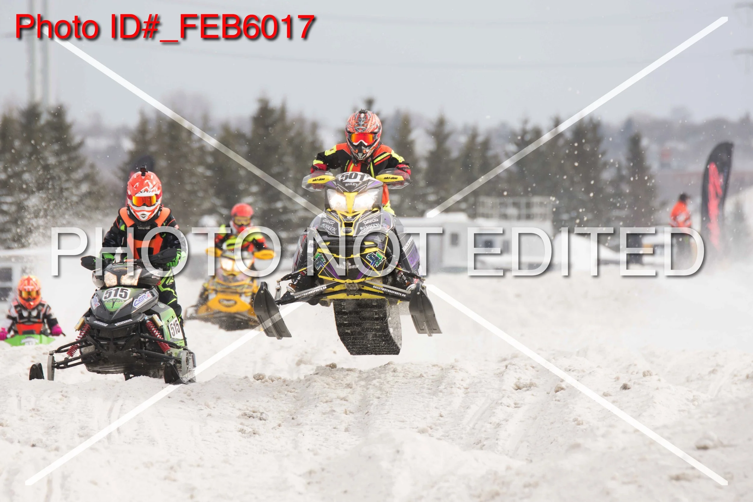 _FEB6017.jpg