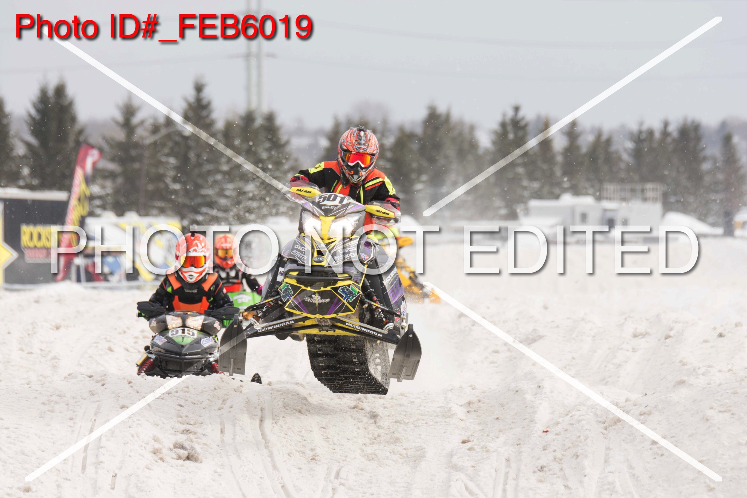_FEB6019.jpg