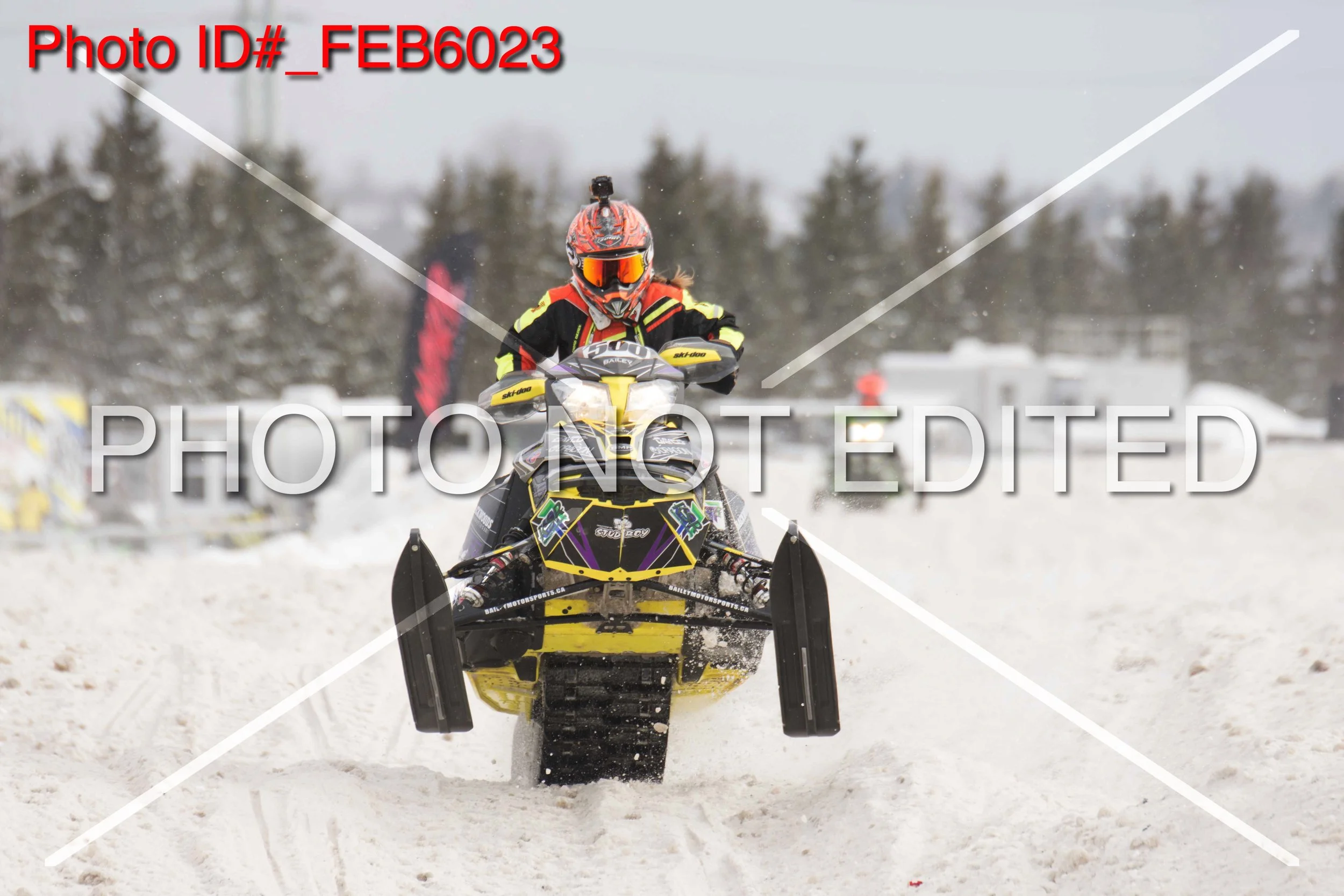 _FEB6023.jpg