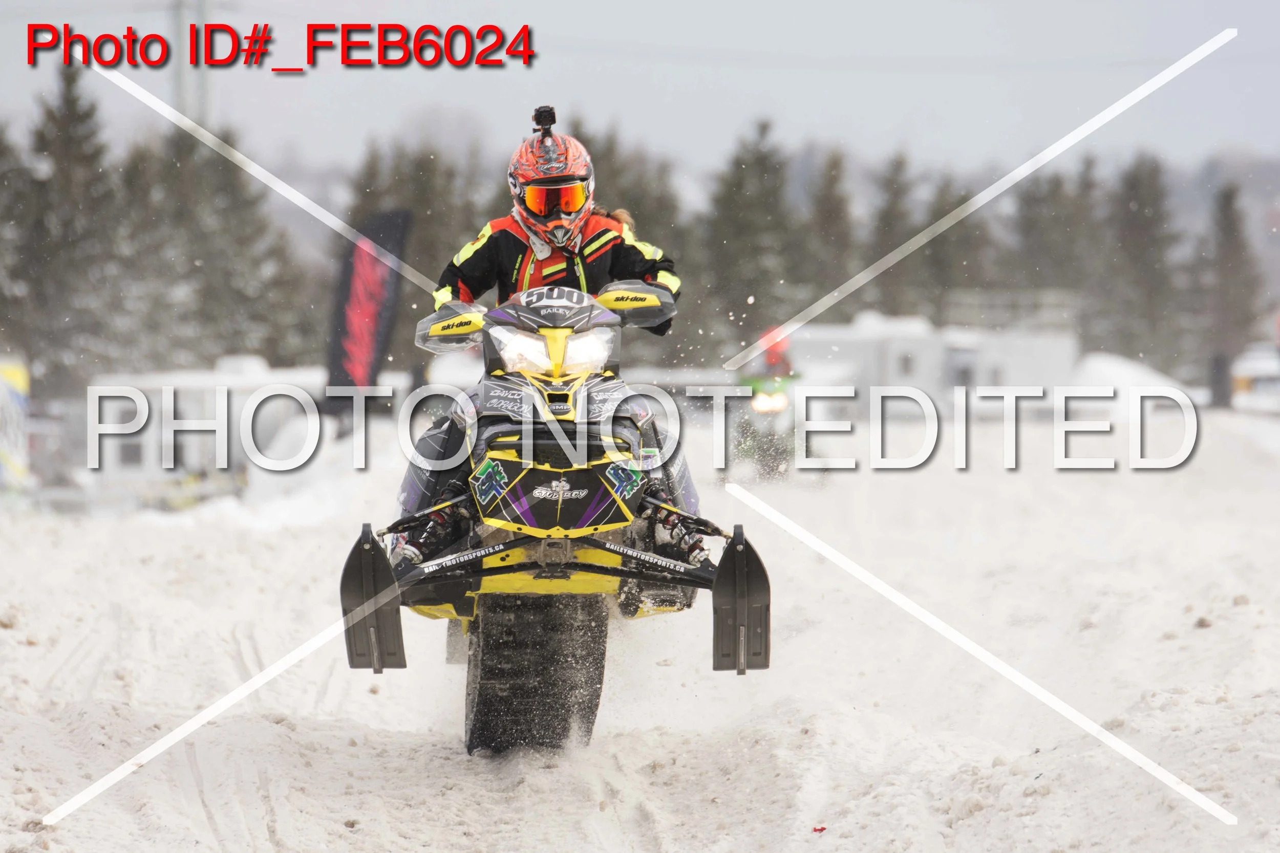 _FEB6024.jpg