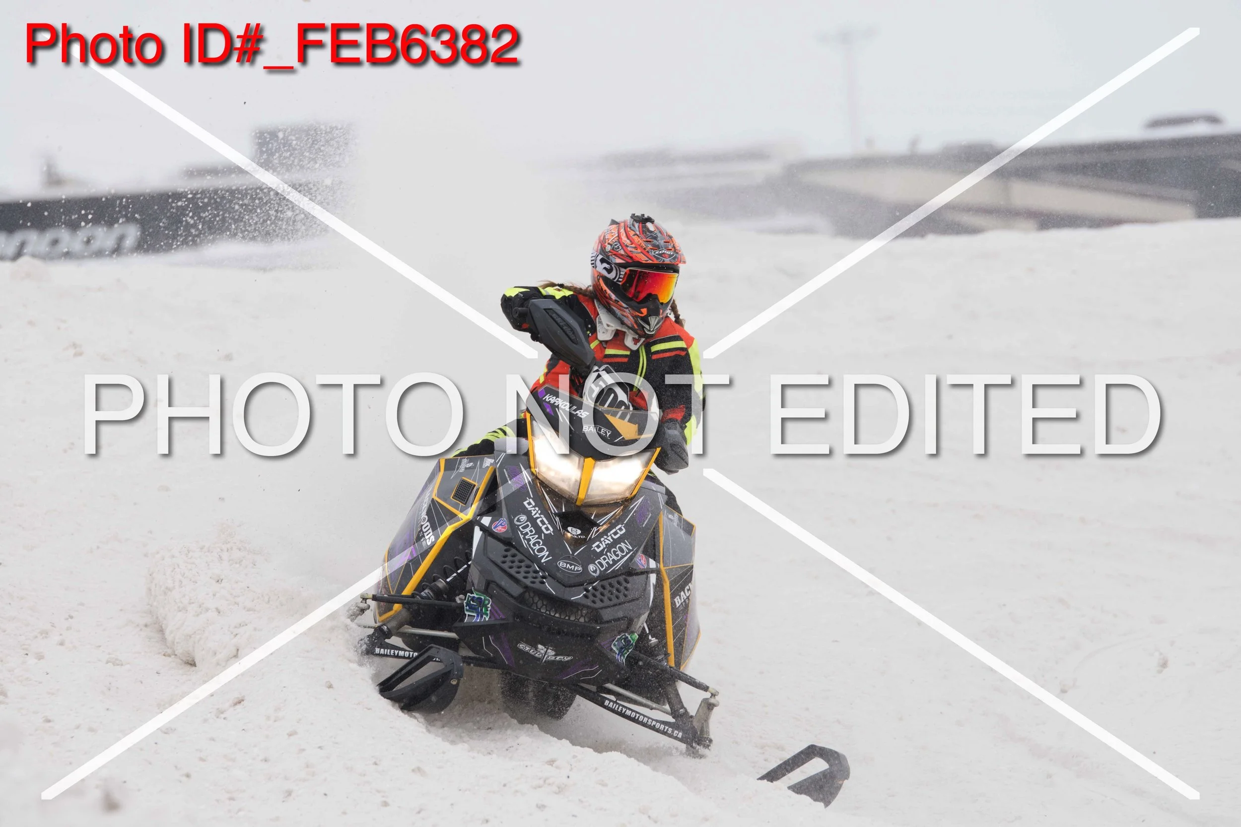 _FEB6382.jpg