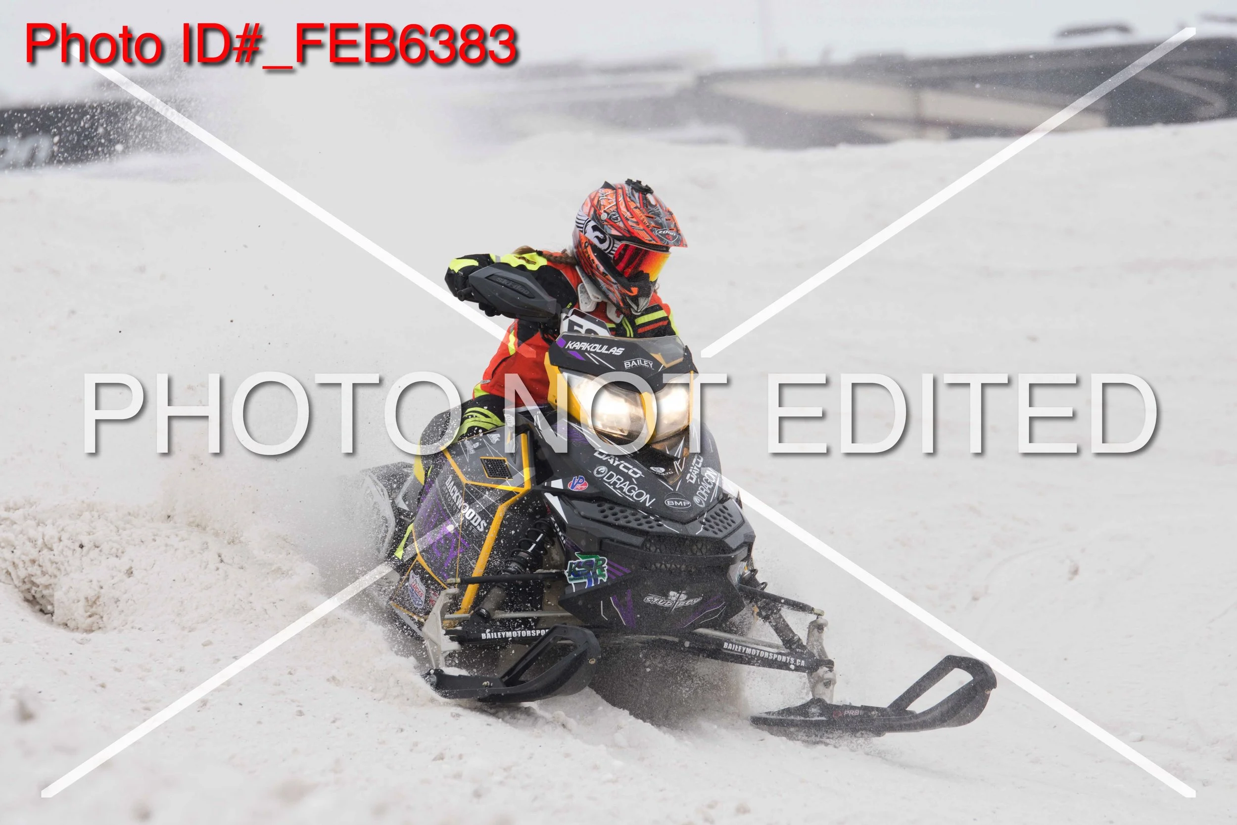 _FEB6383.jpg
