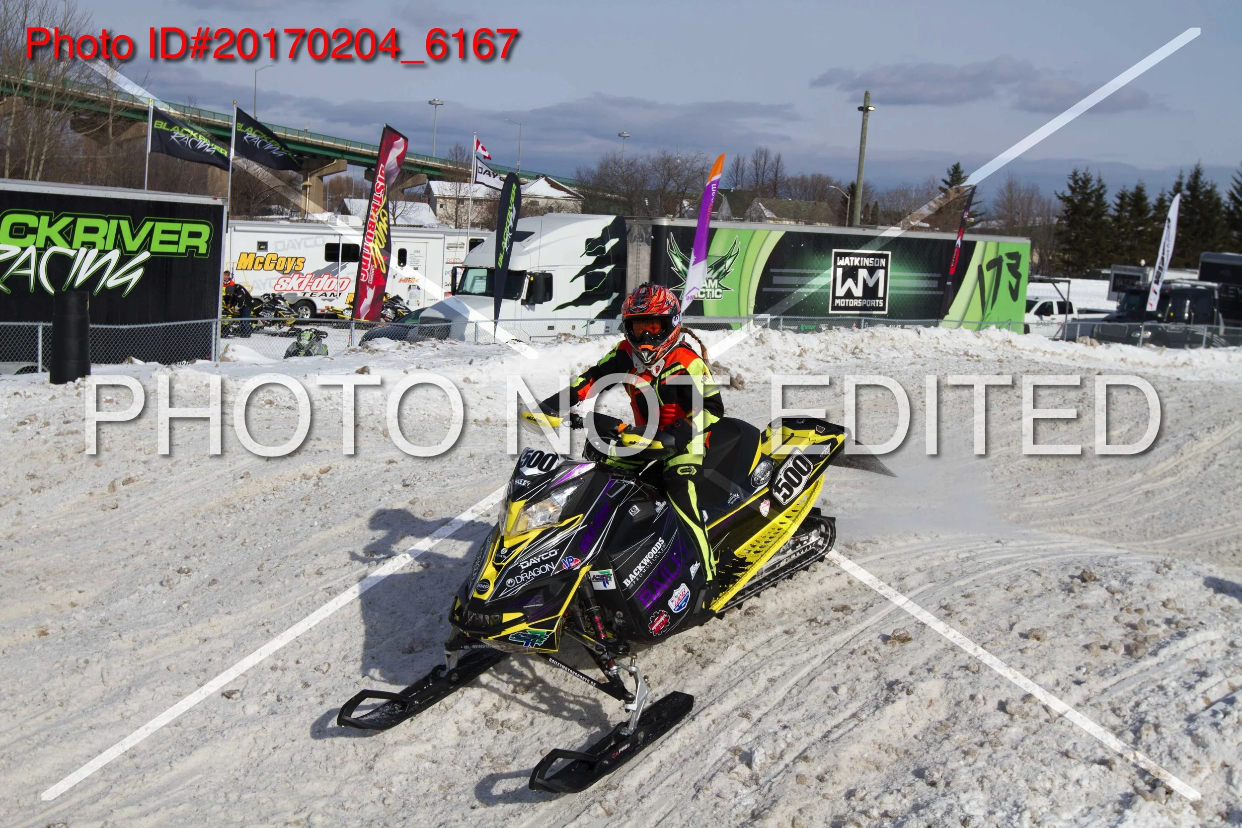 20170204_6167.jpg