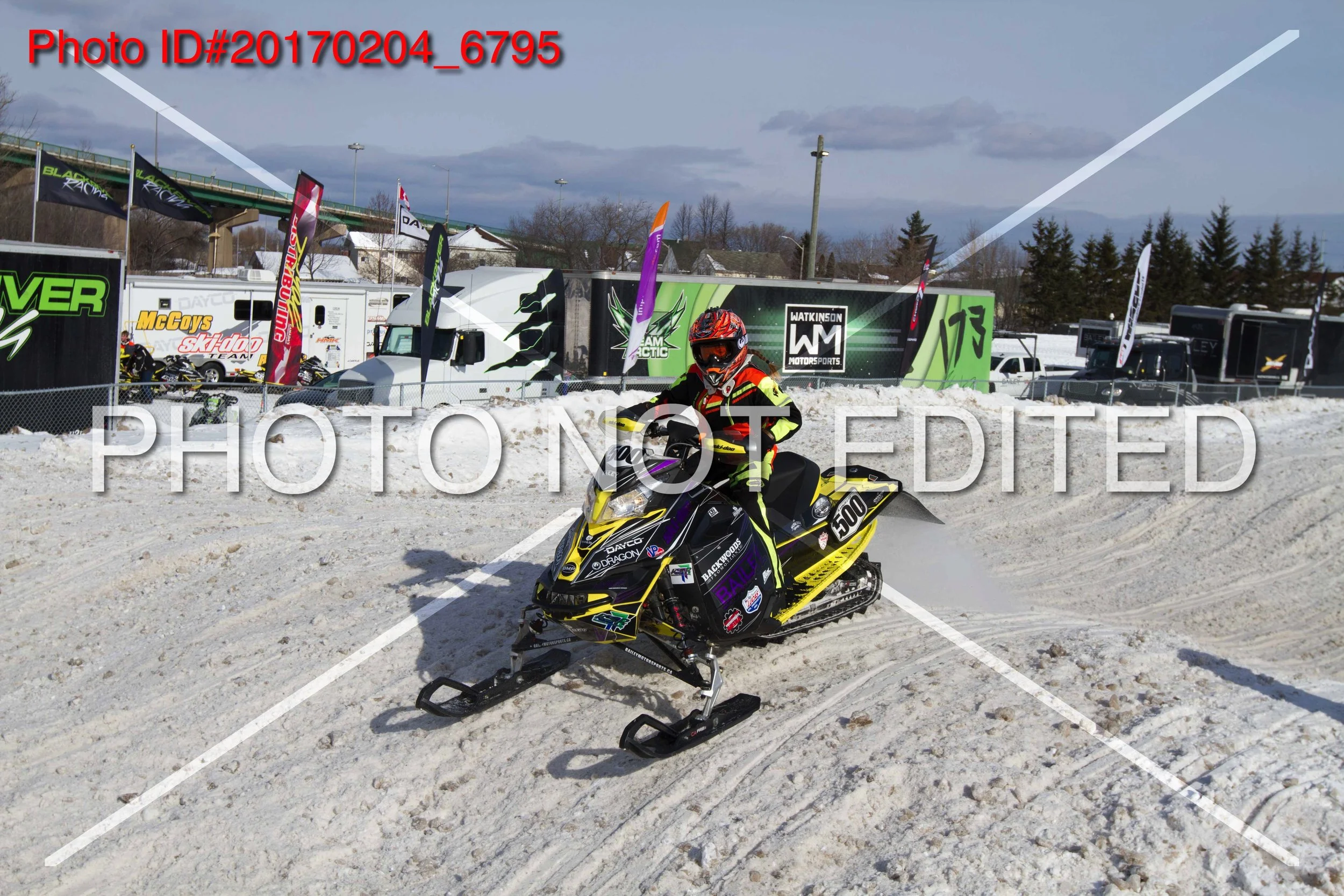 20170204_6795.jpg