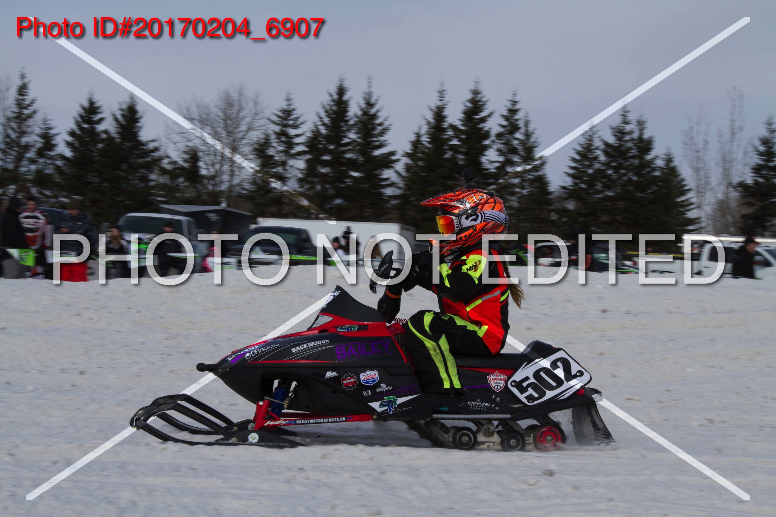 20170204_6907.jpg
