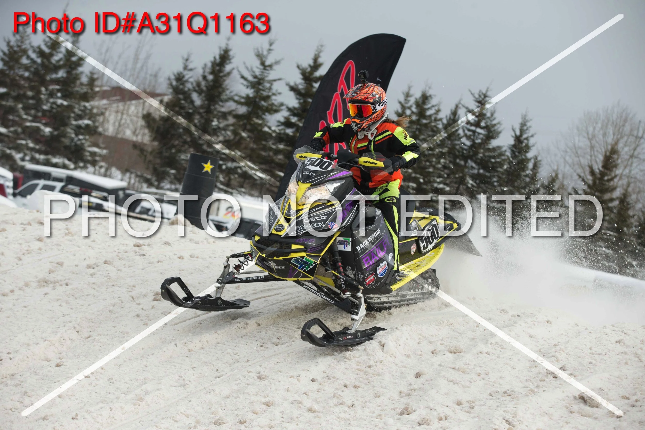 A31Q1163.jpg