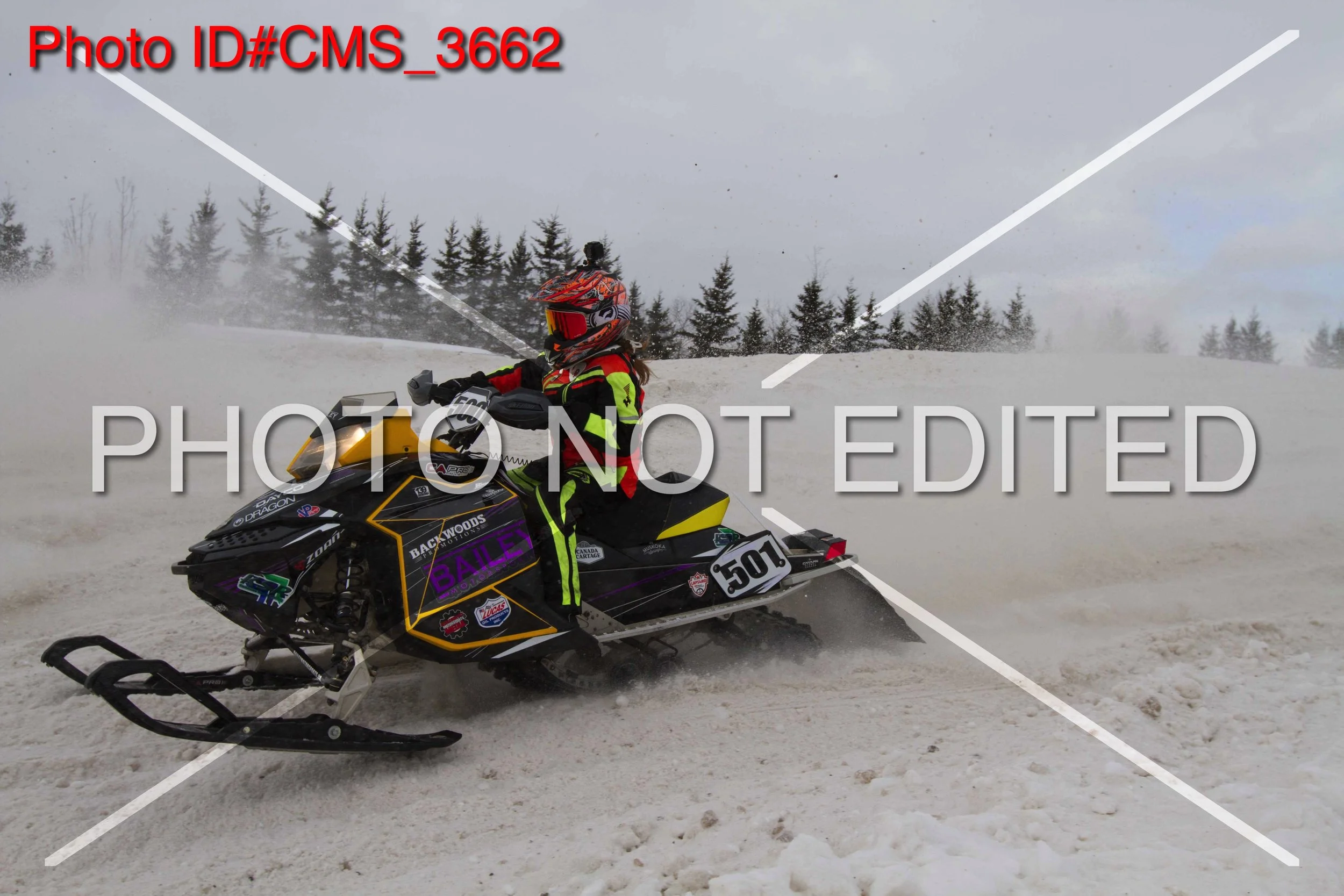CMS_3662.jpg