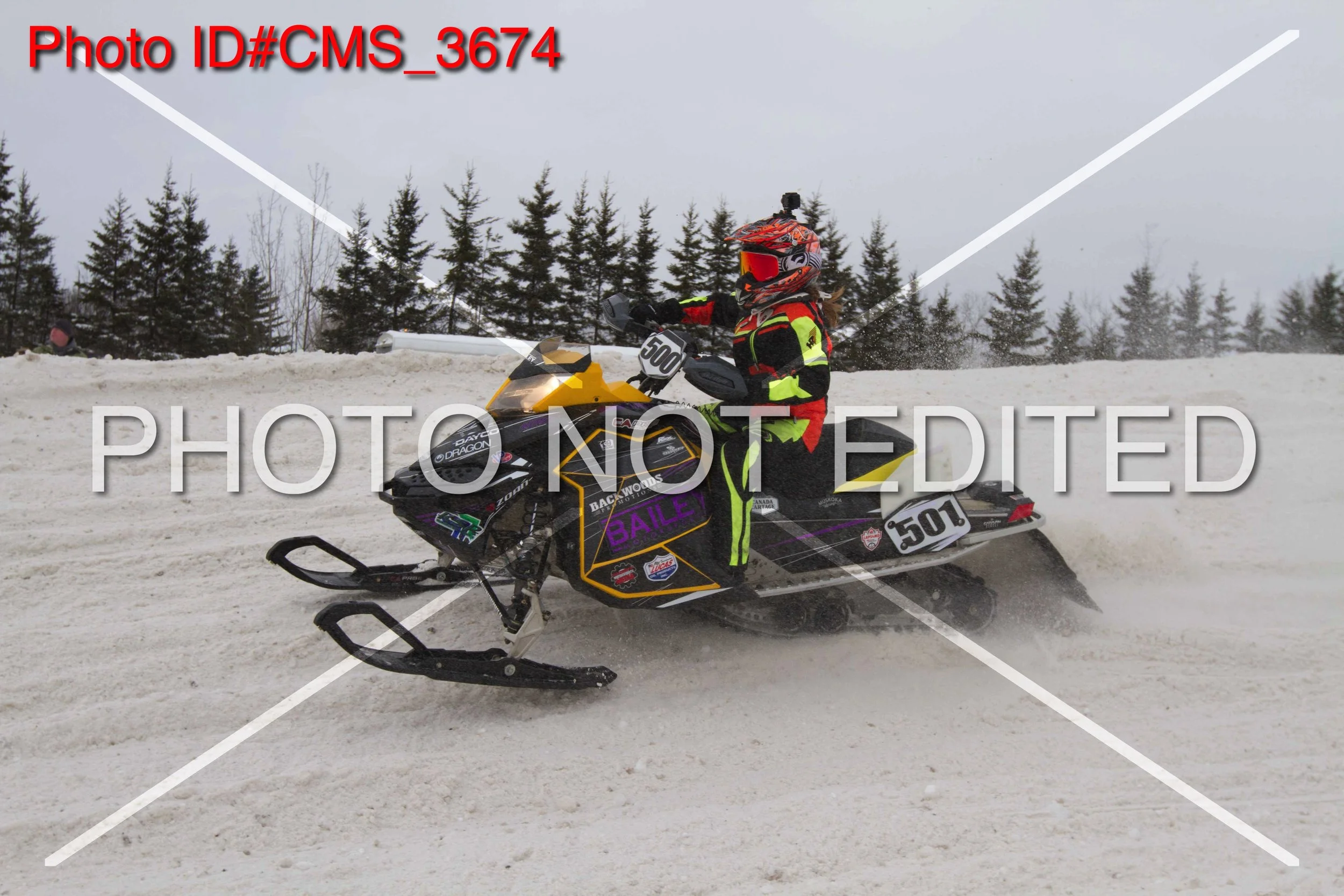 CMS_3674.jpg