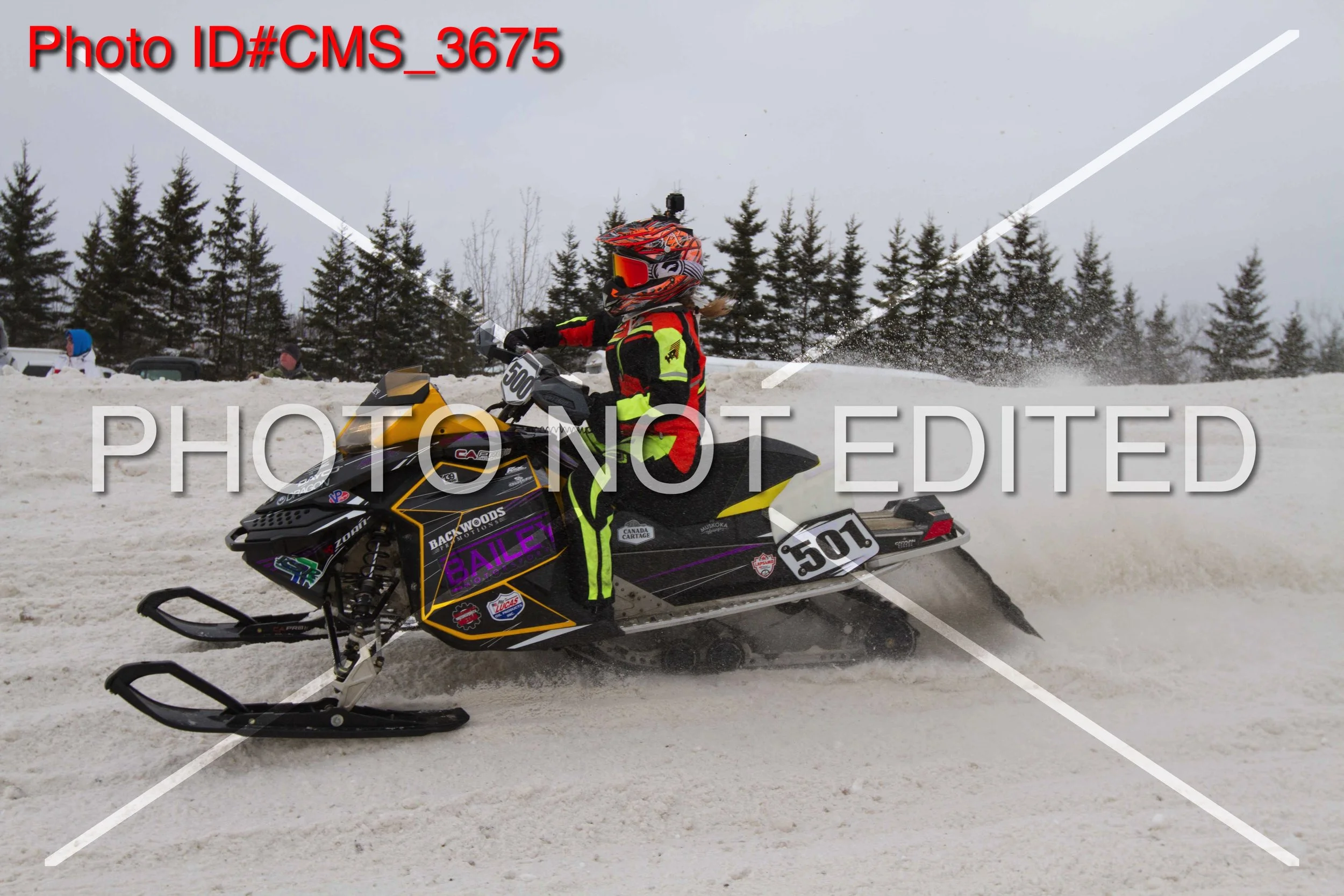 CMS_3675.jpg