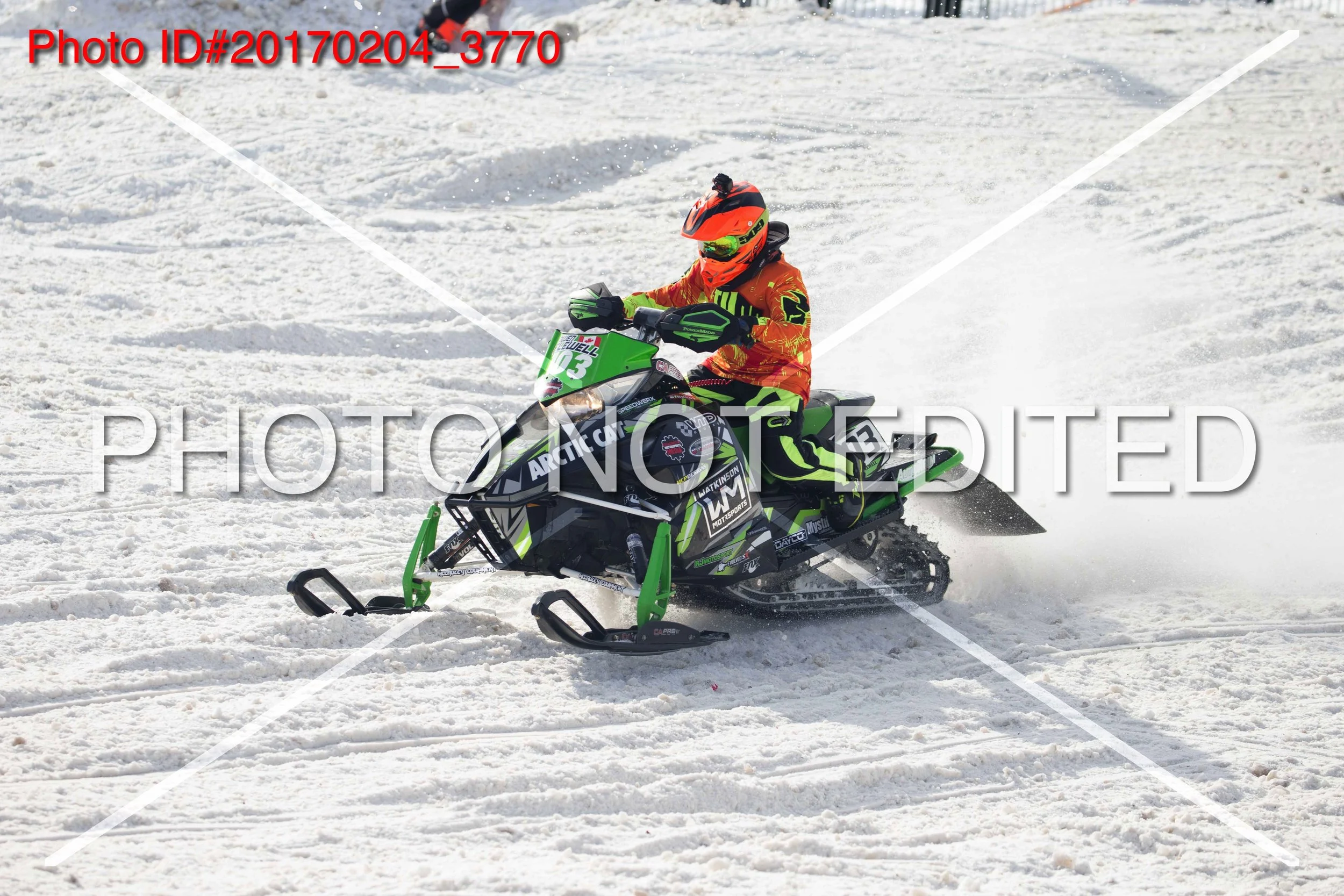 20170204_3770.jpg