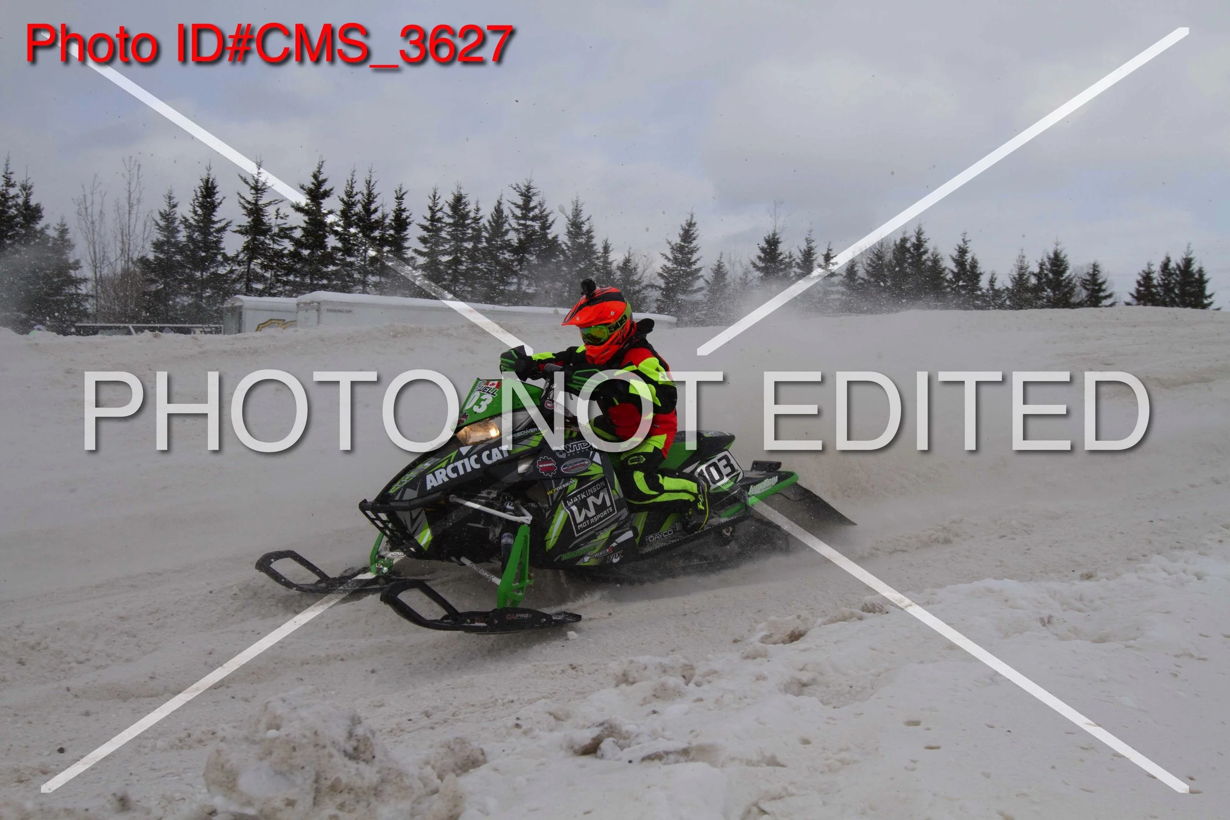 CMS_3627.jpg