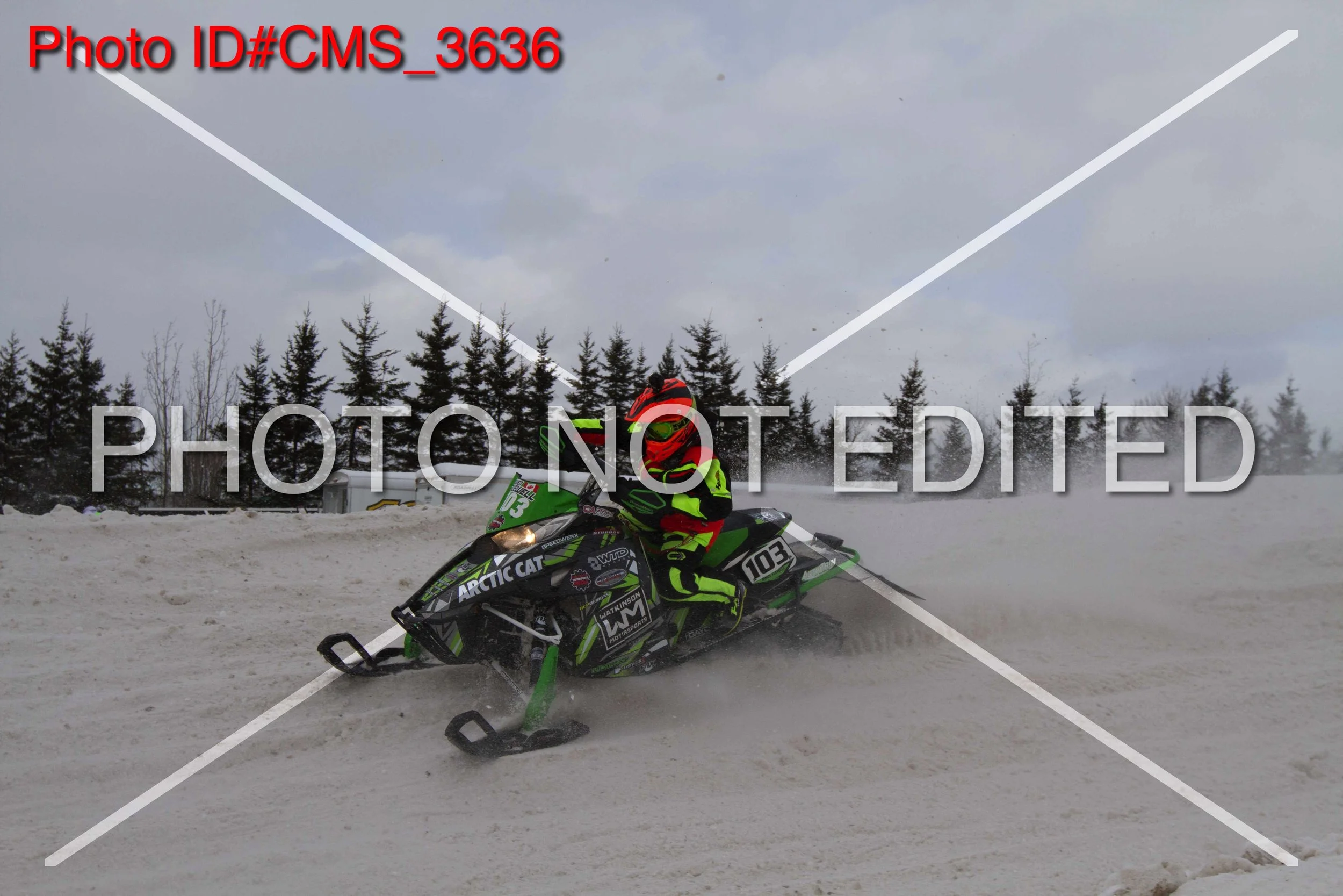 CMS_3636.jpg