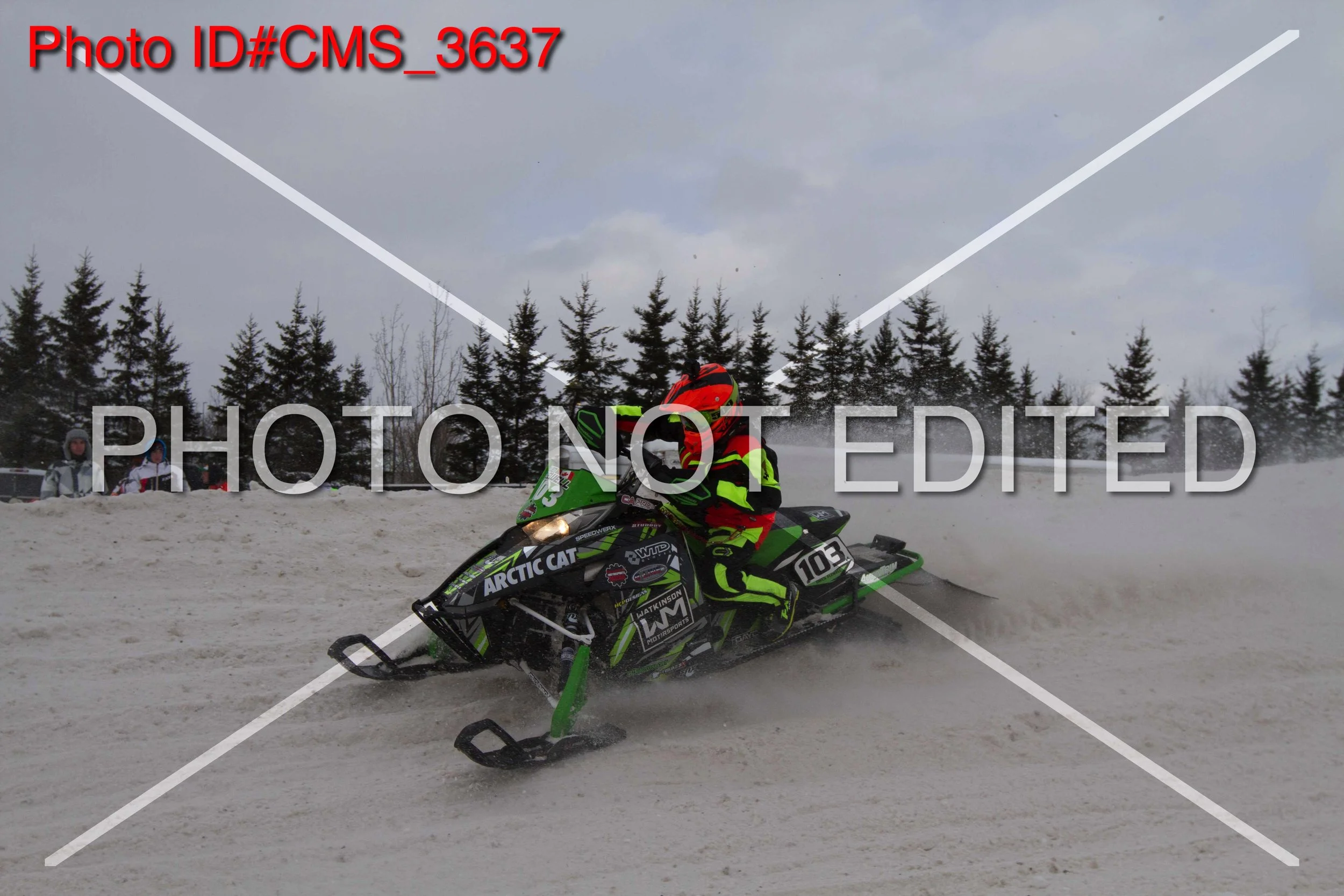 CMS_3637.jpg