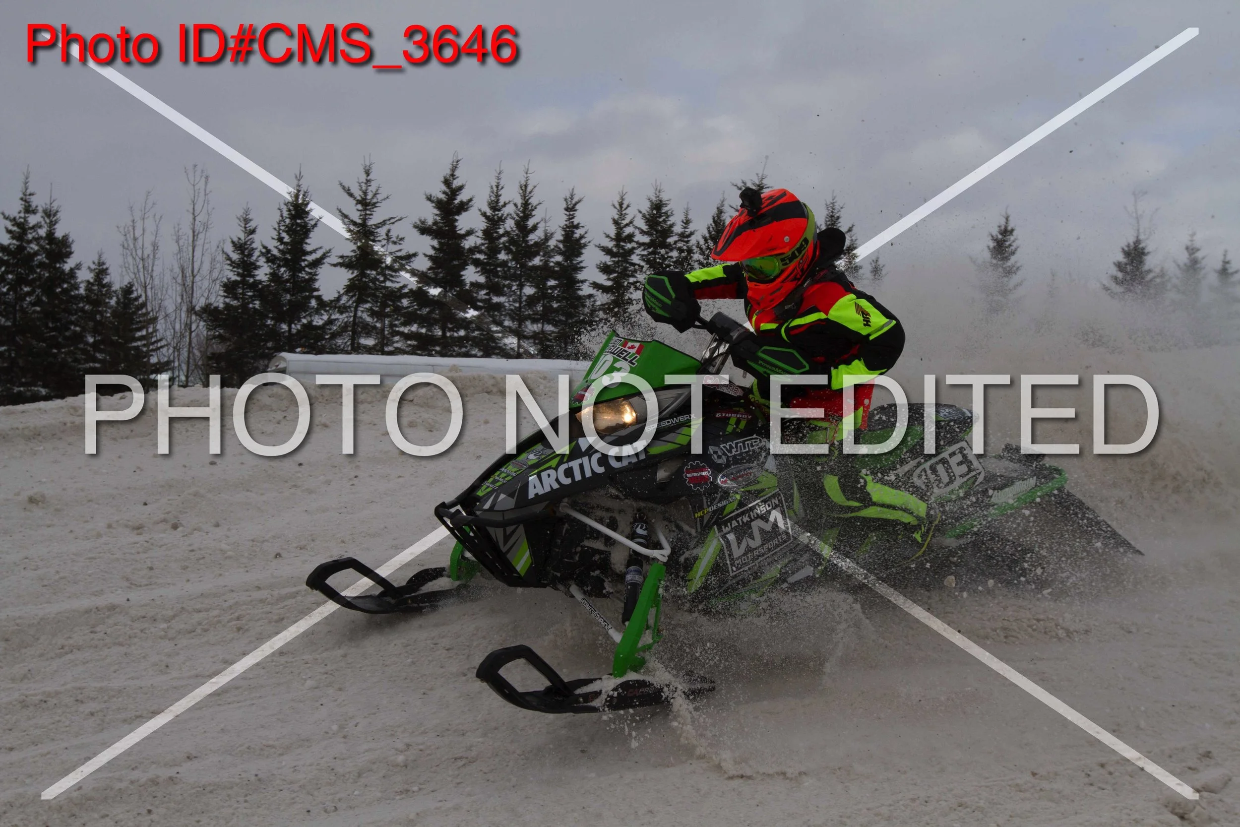 CMS_3646.jpg