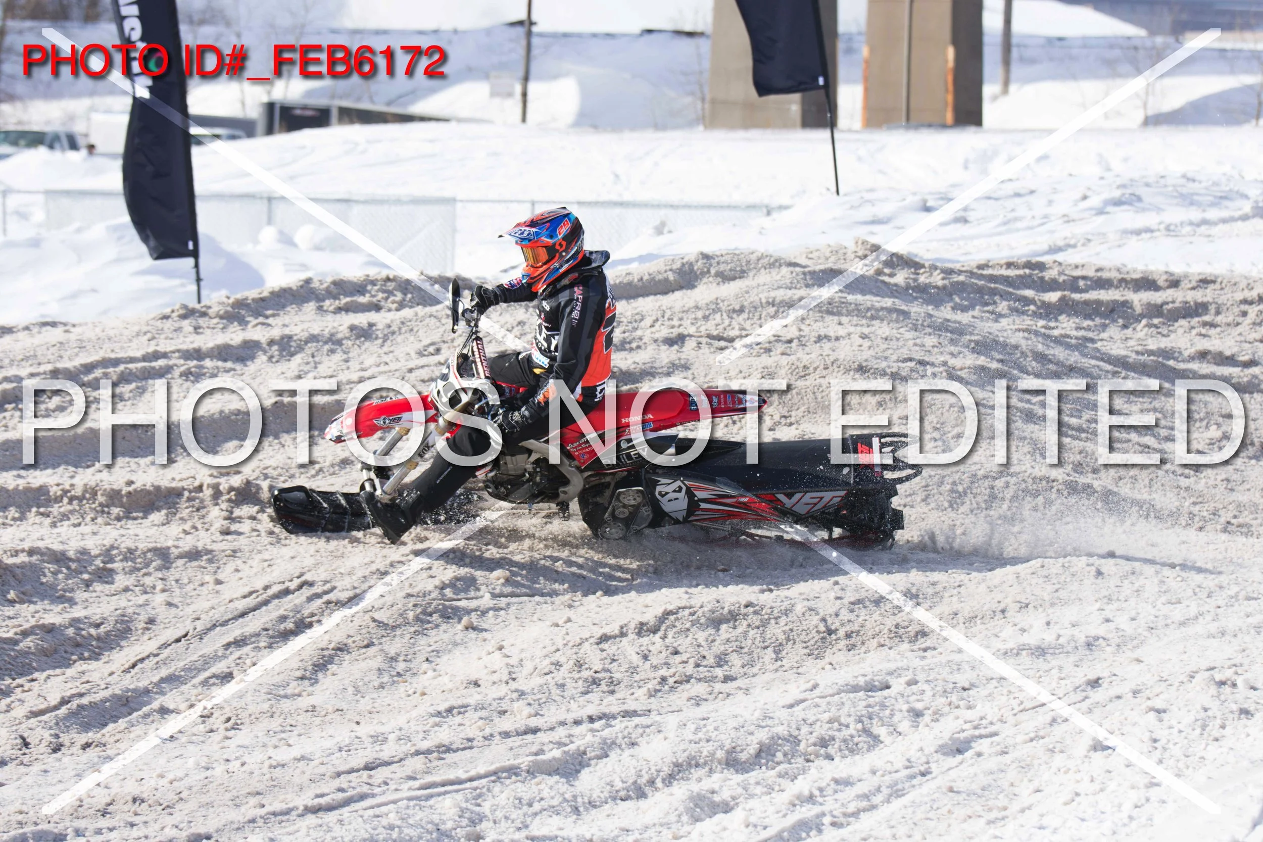 _FEB6172.jpg