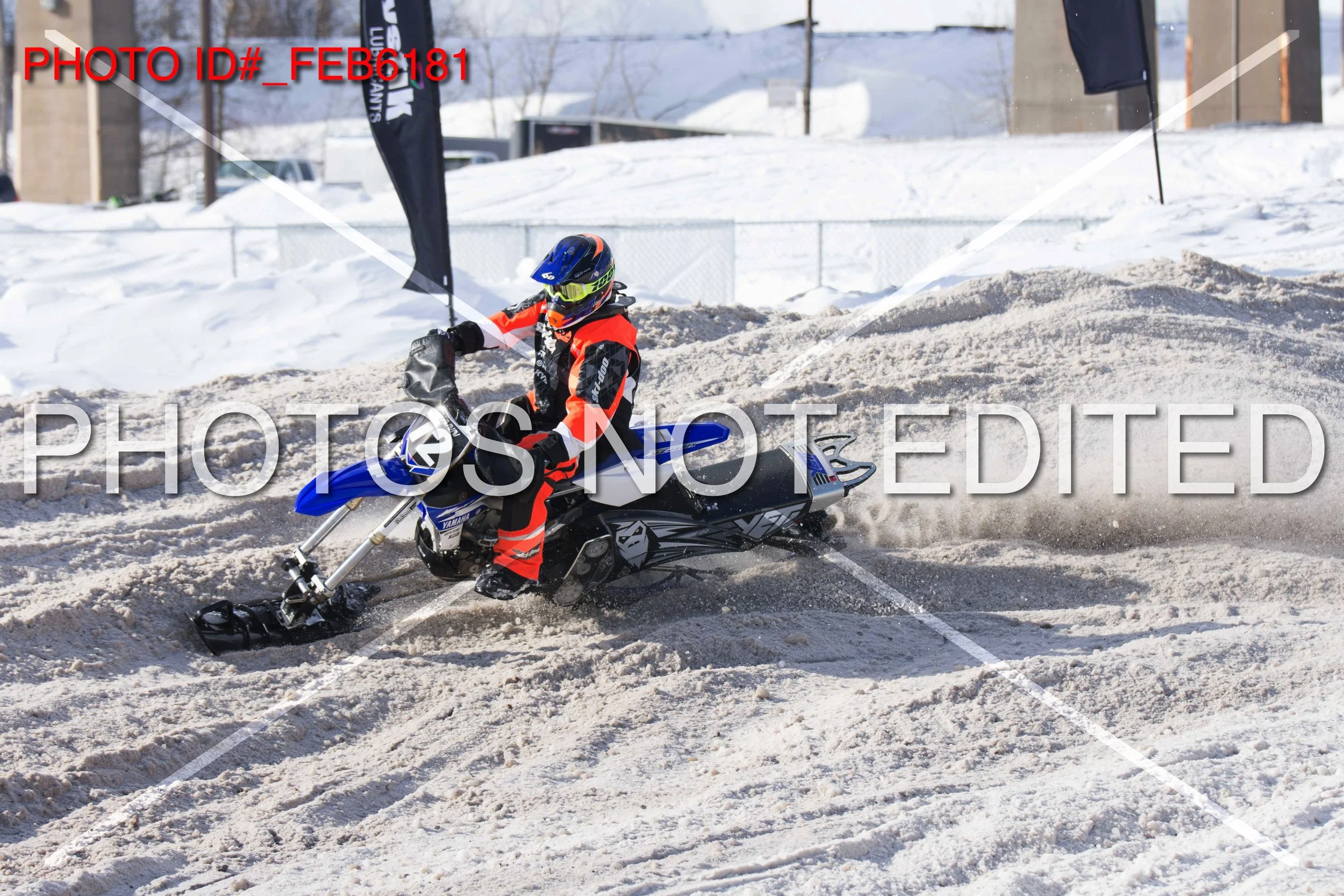 _FEB6181.jpg