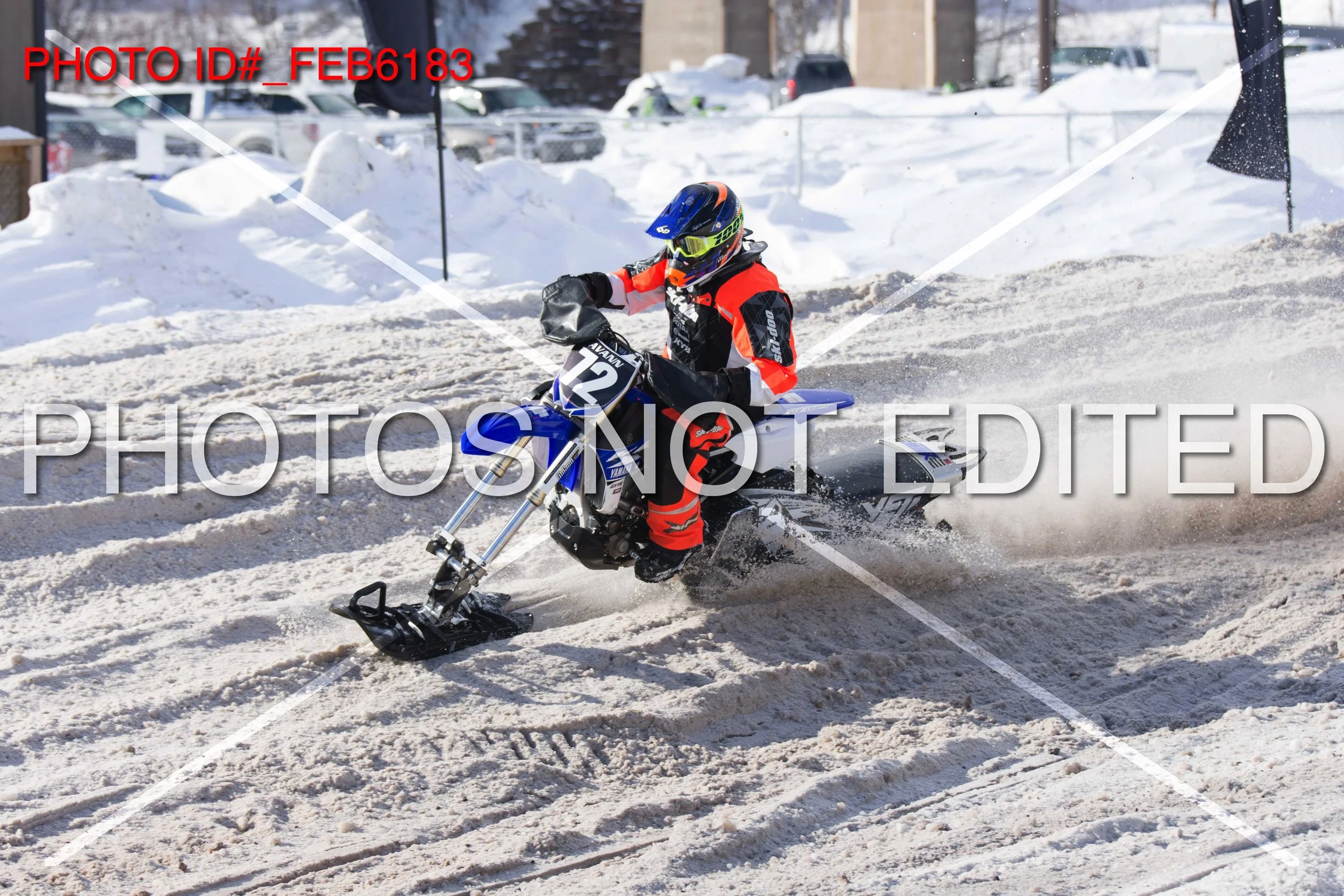 _FEB6183.jpg