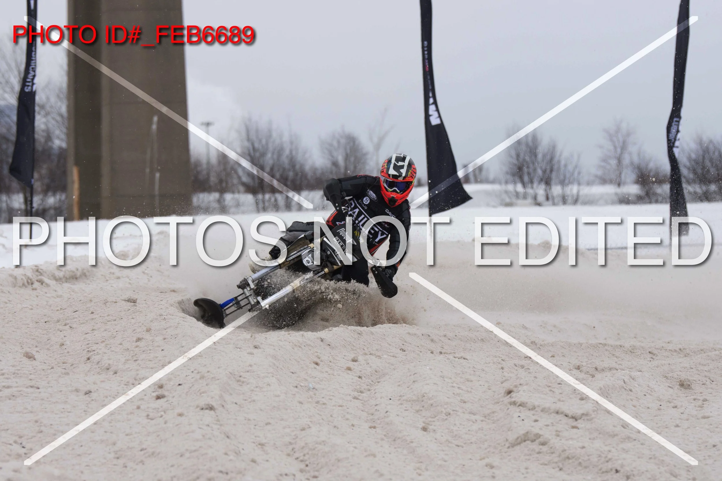 _FEB6689.jpg