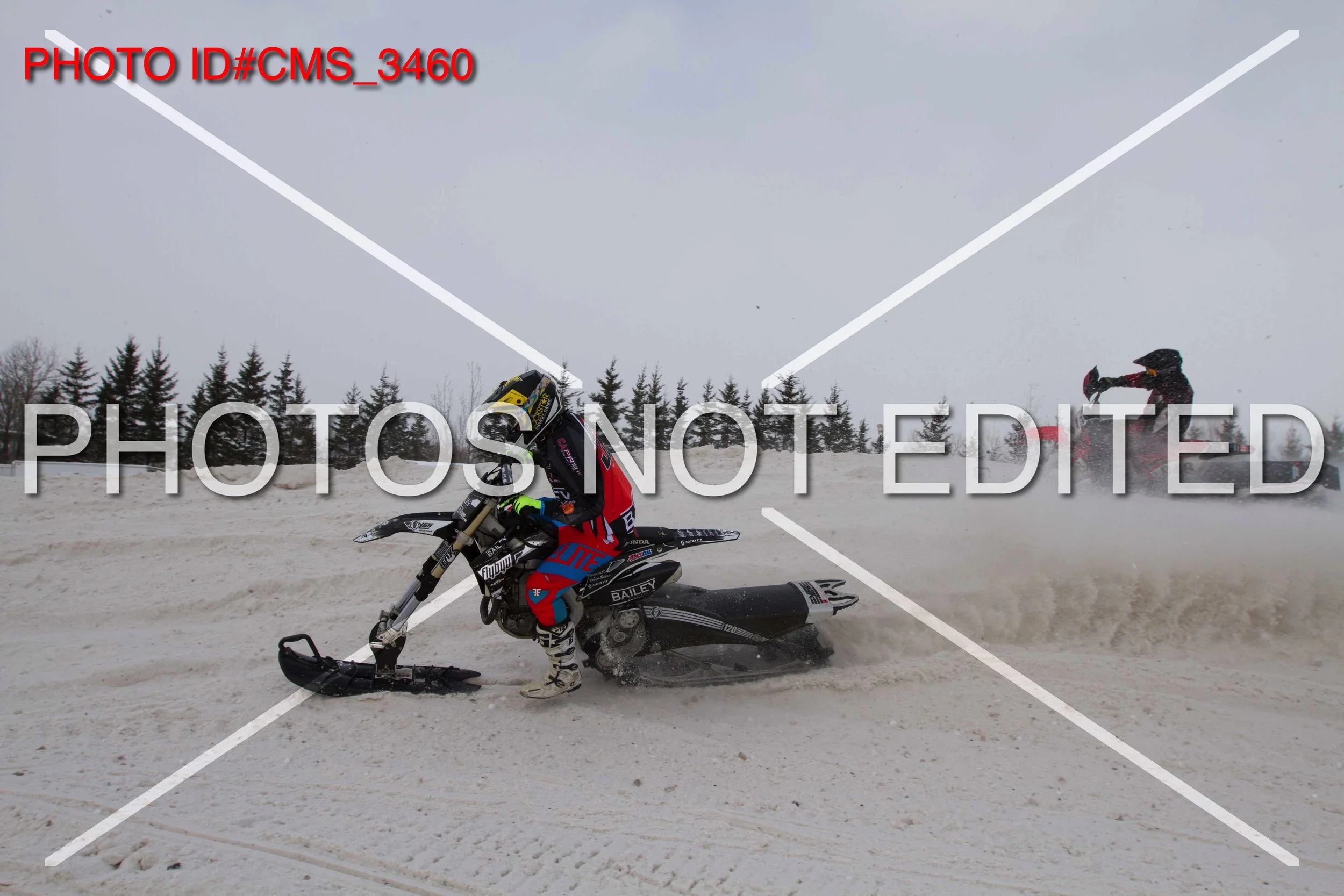 CMS_3460.jpg
