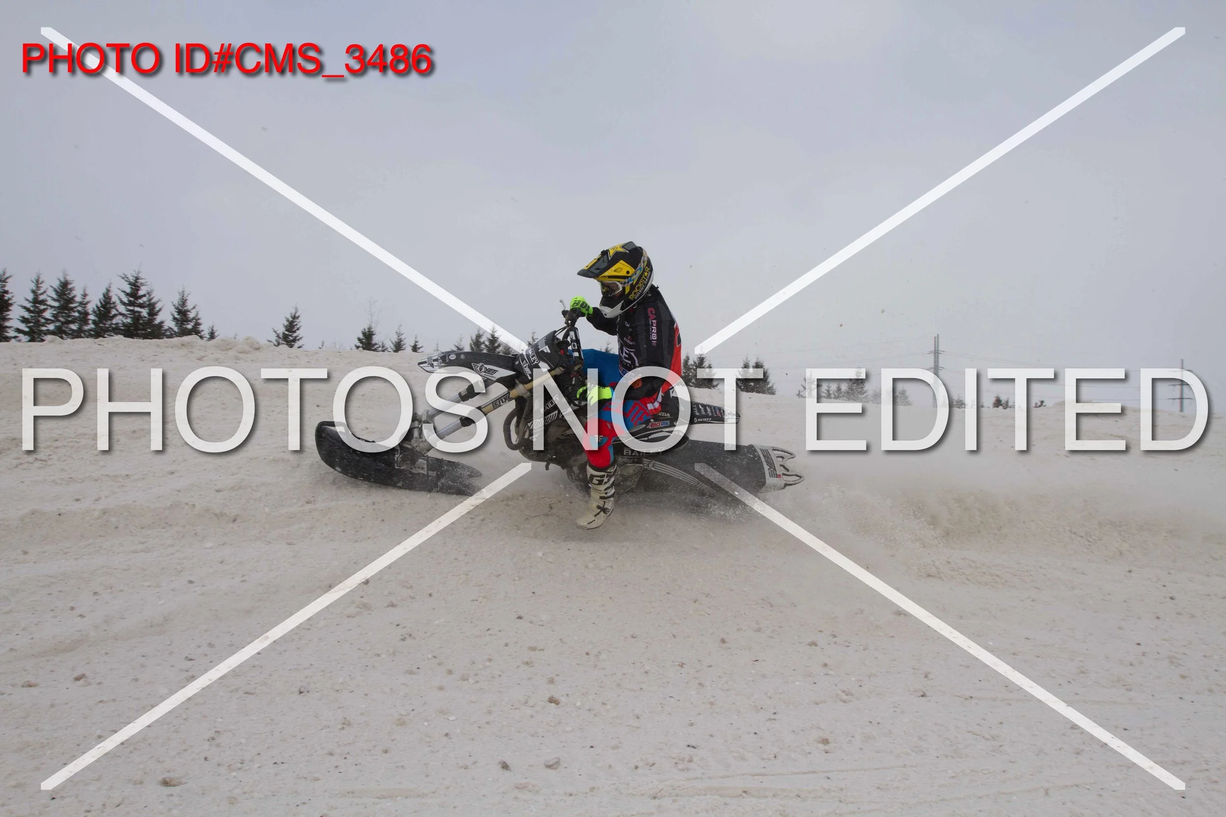 CMS_3486.jpg
