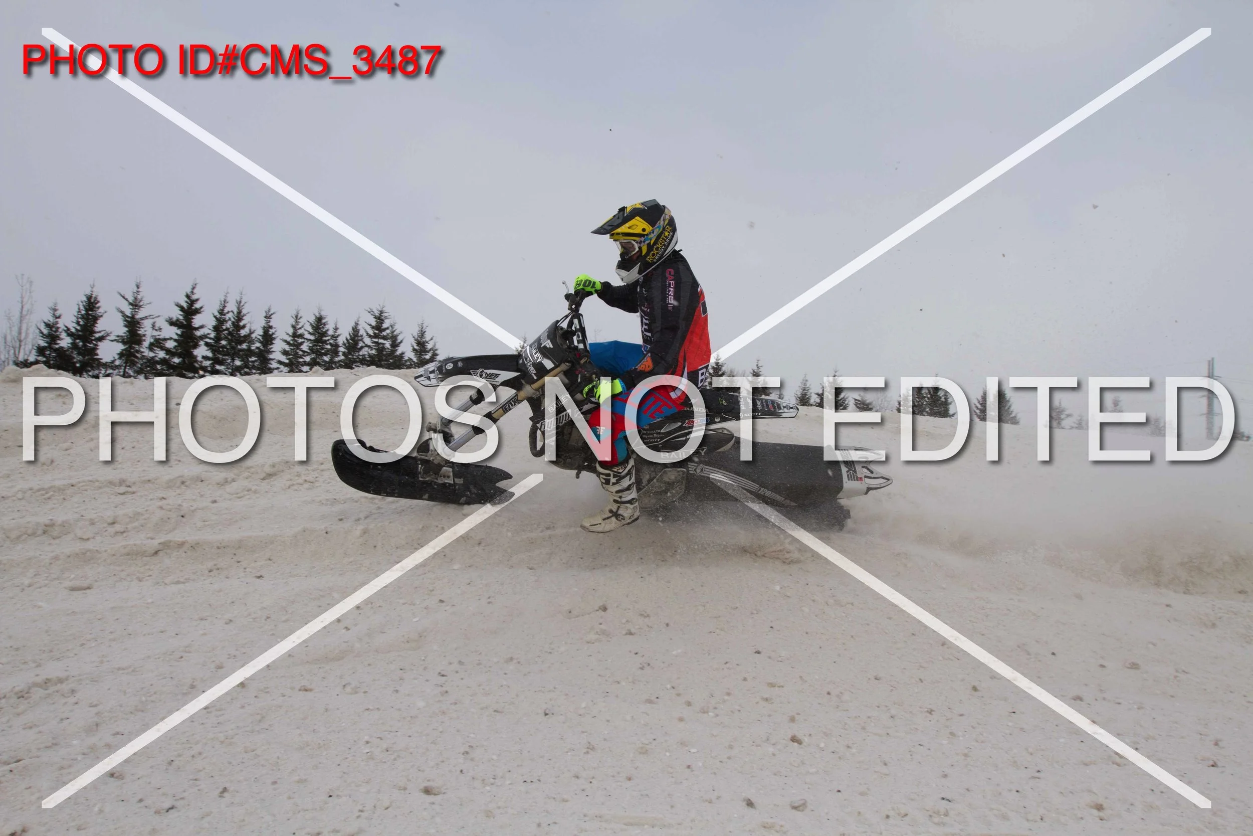 CMS_3487.jpg