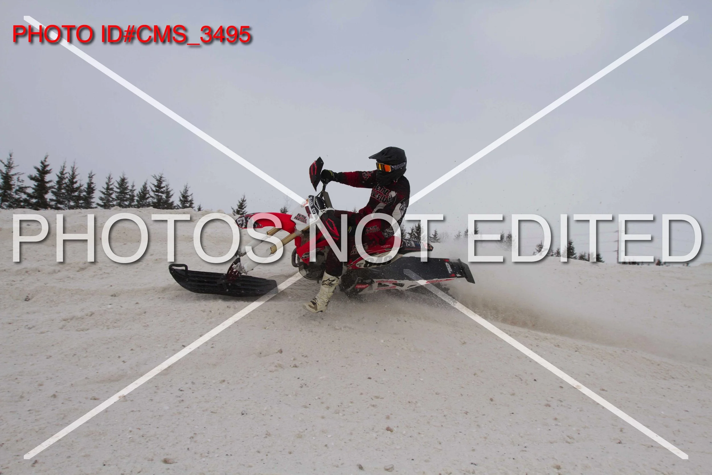 CMS_3495.jpg