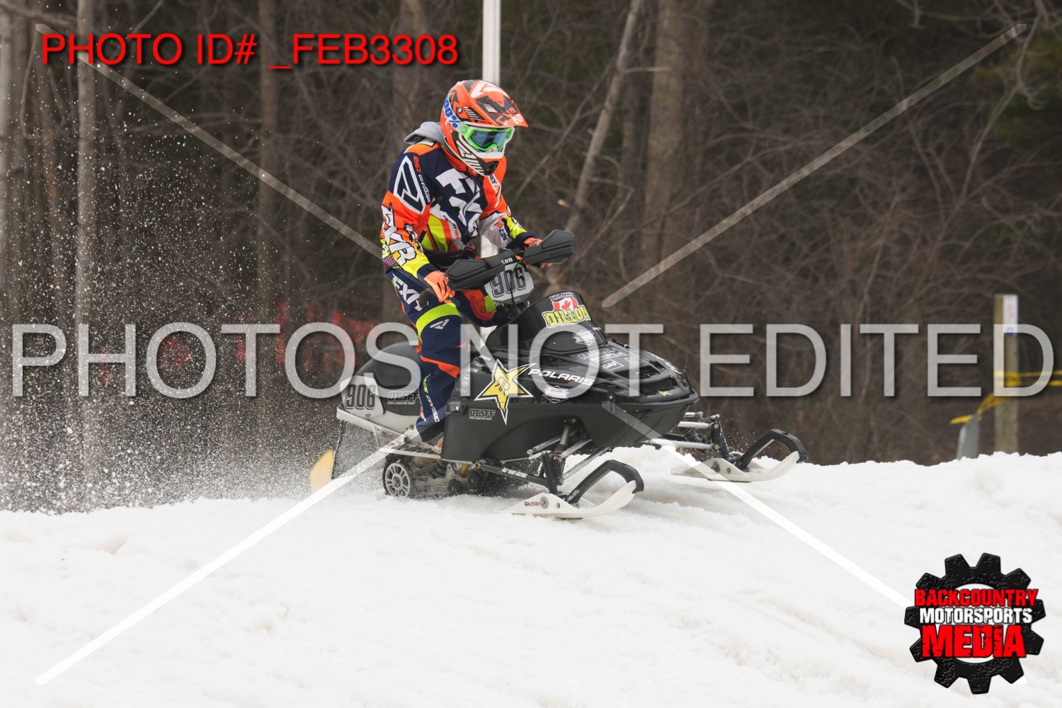 _FEB3308.jpg