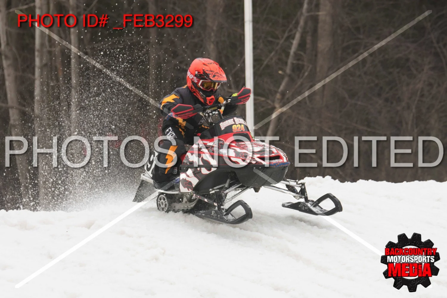 _FEB3299.jpg