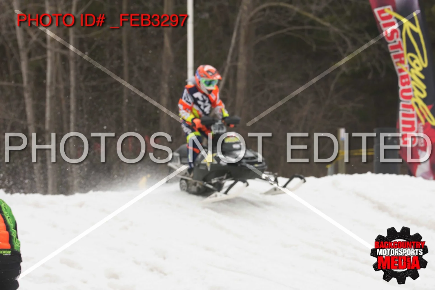 _FEB3297.jpg