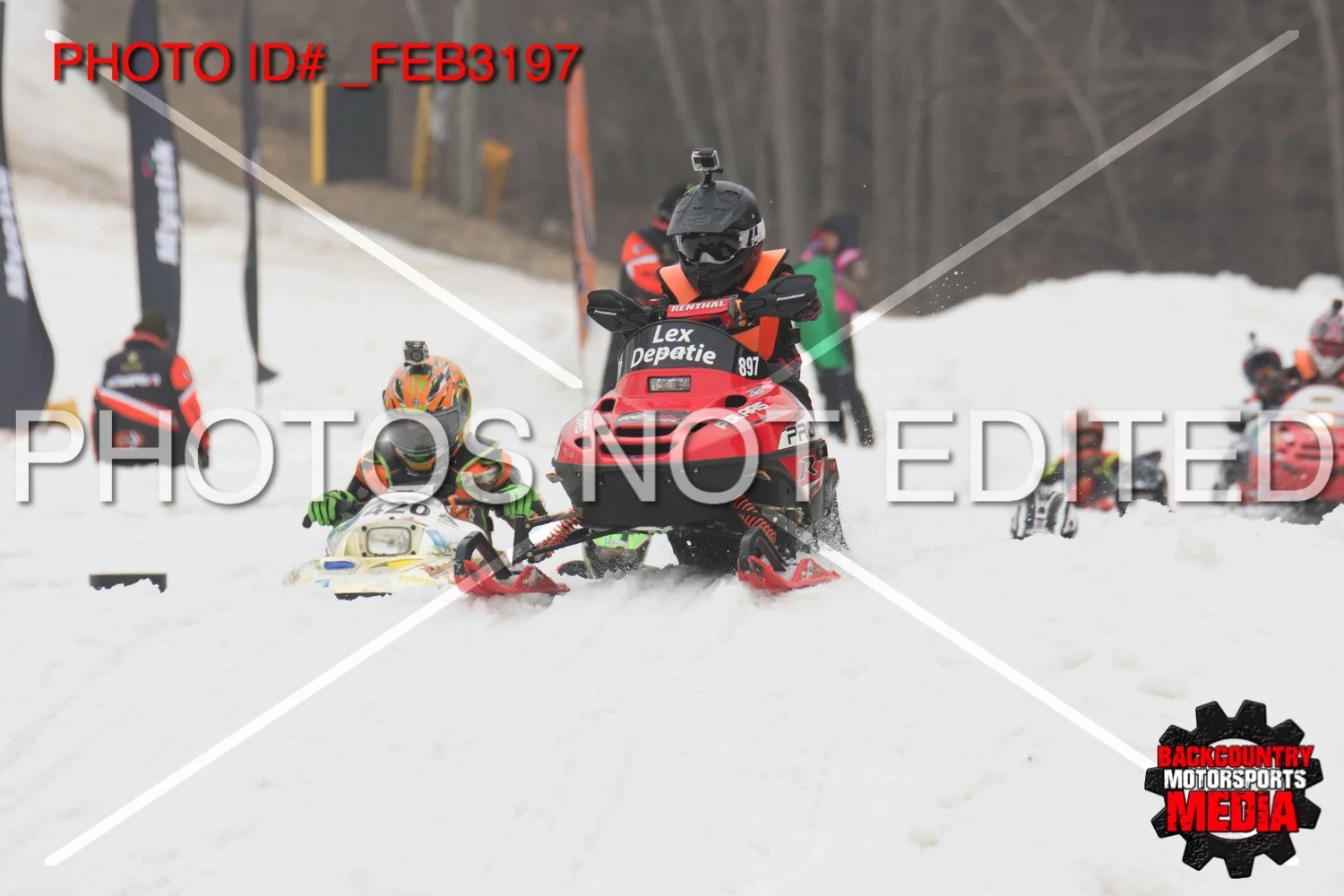 _FEB3197.jpg