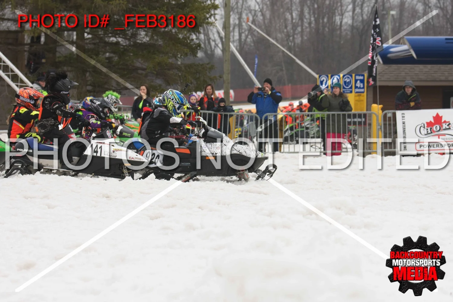 _FEB3186.jpg