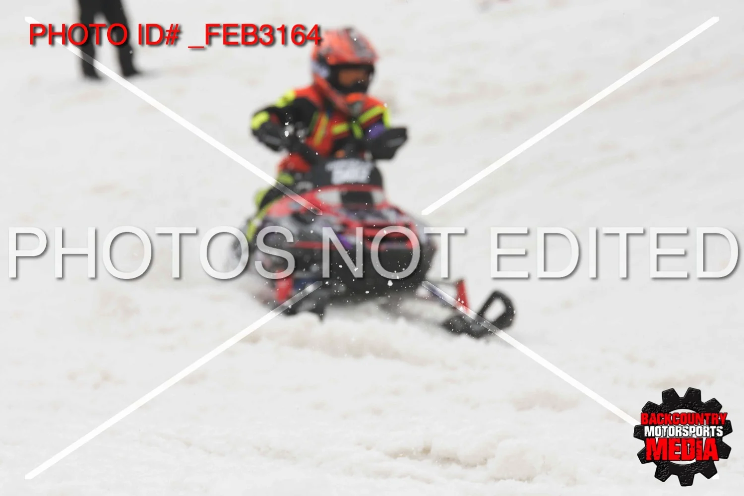 _FEB3164.jpg