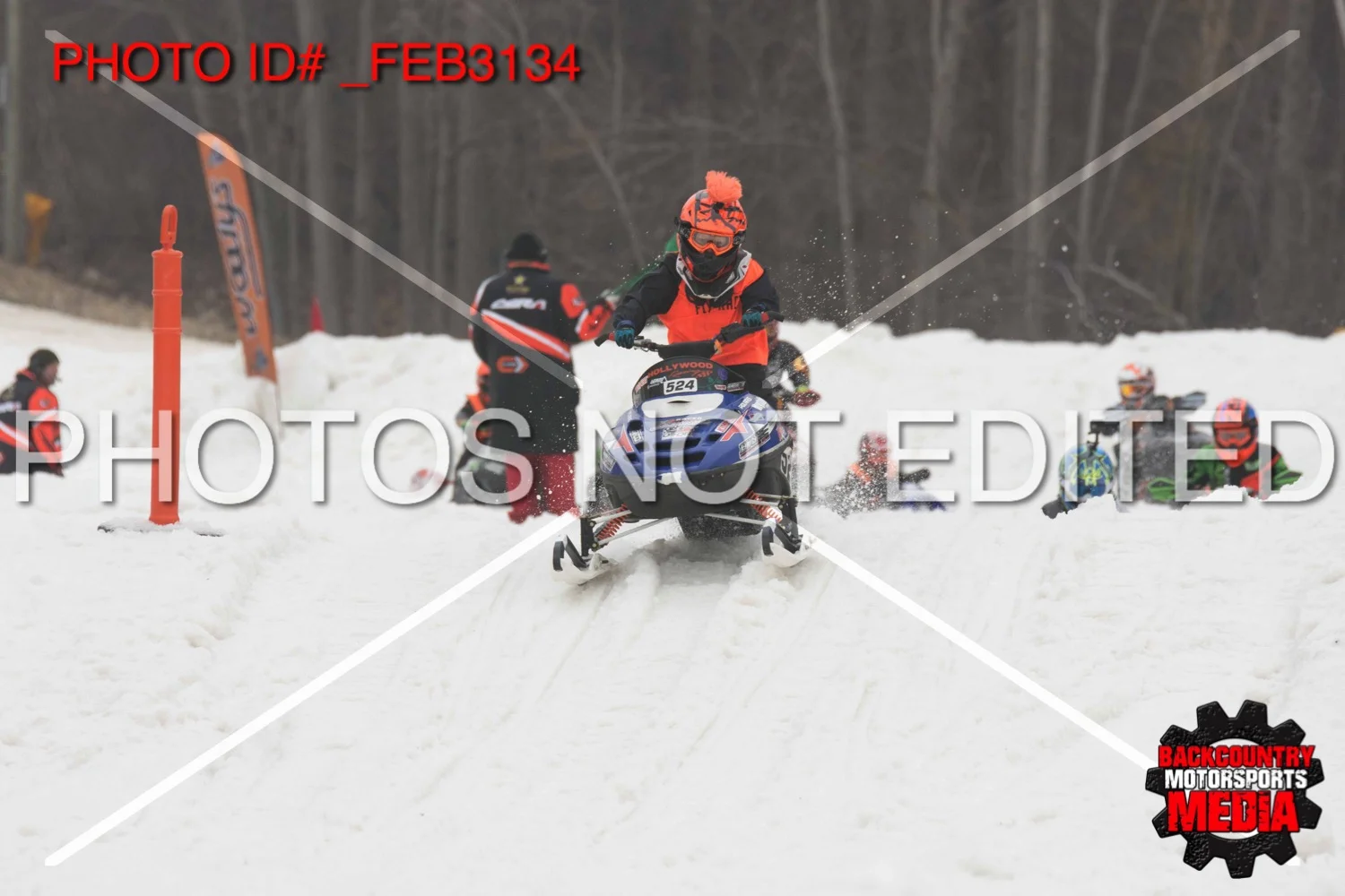 _FEB3134.jpg