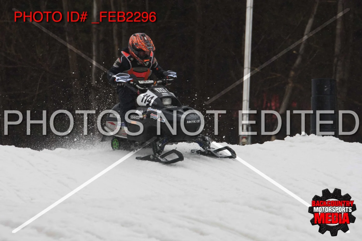_FEB2296.jpg