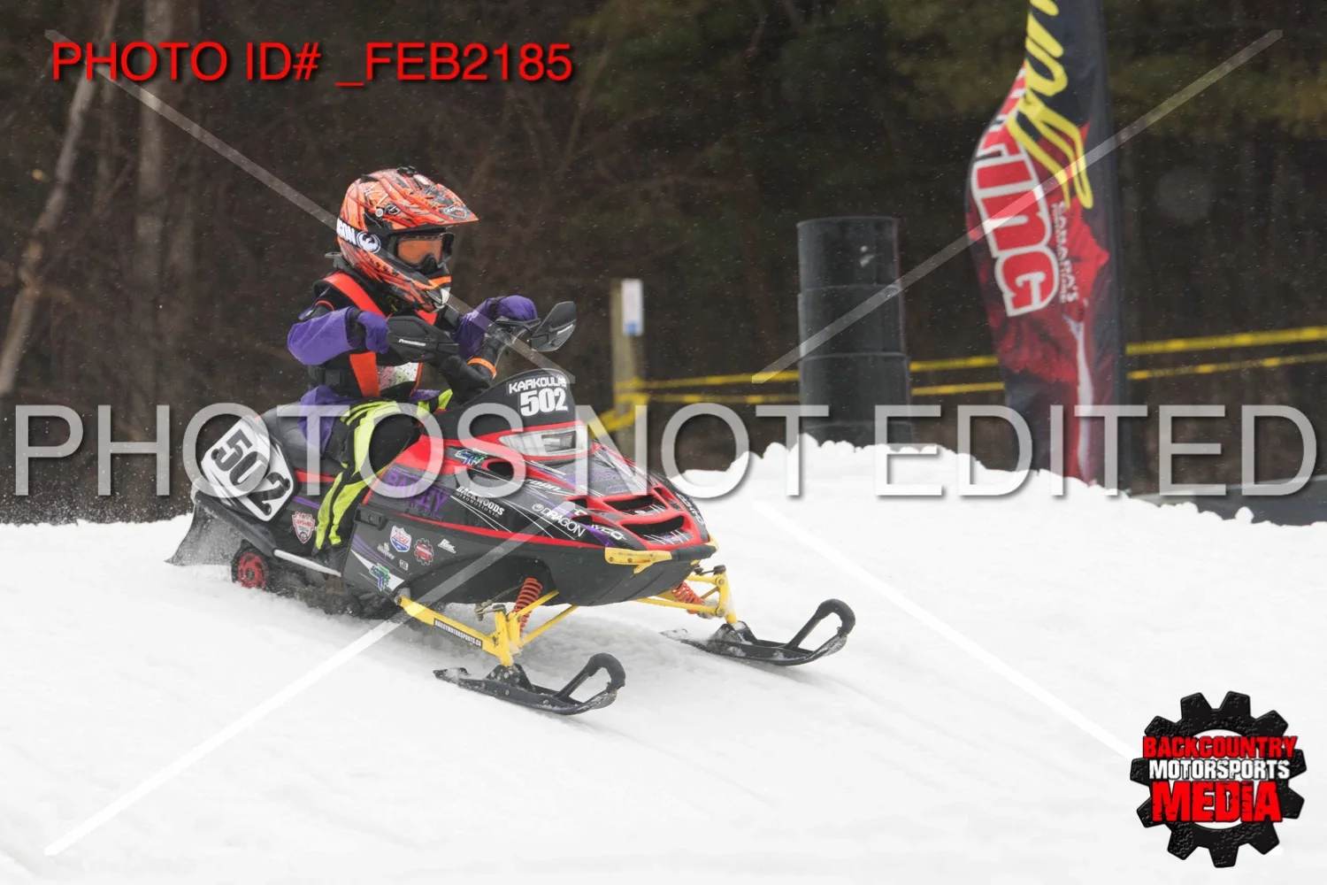 _FEB2185.jpg
