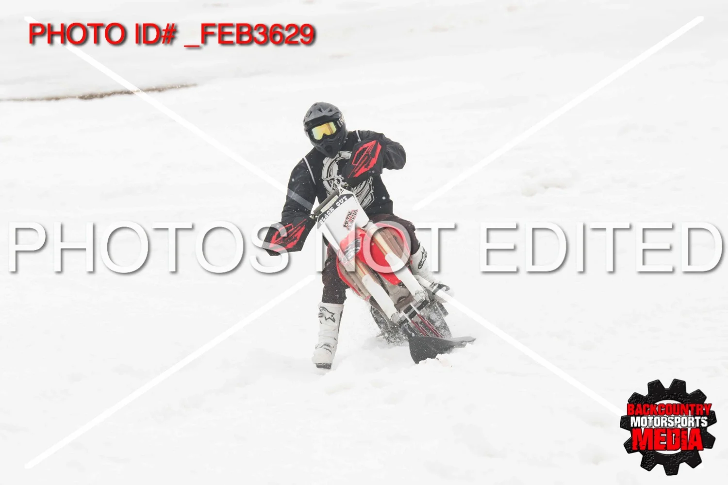 _FEB3629.jpg
