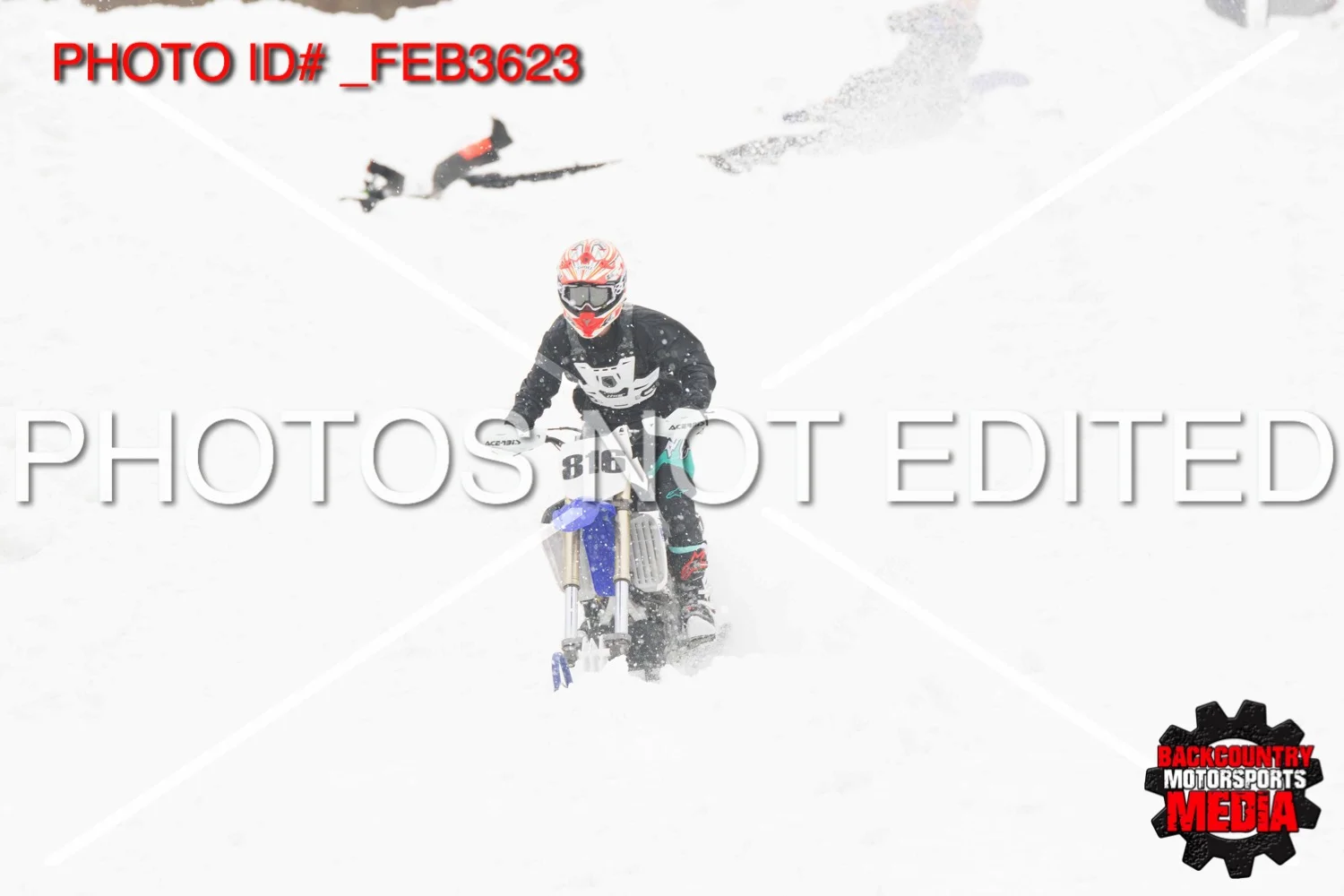 _FEB3623.jpg