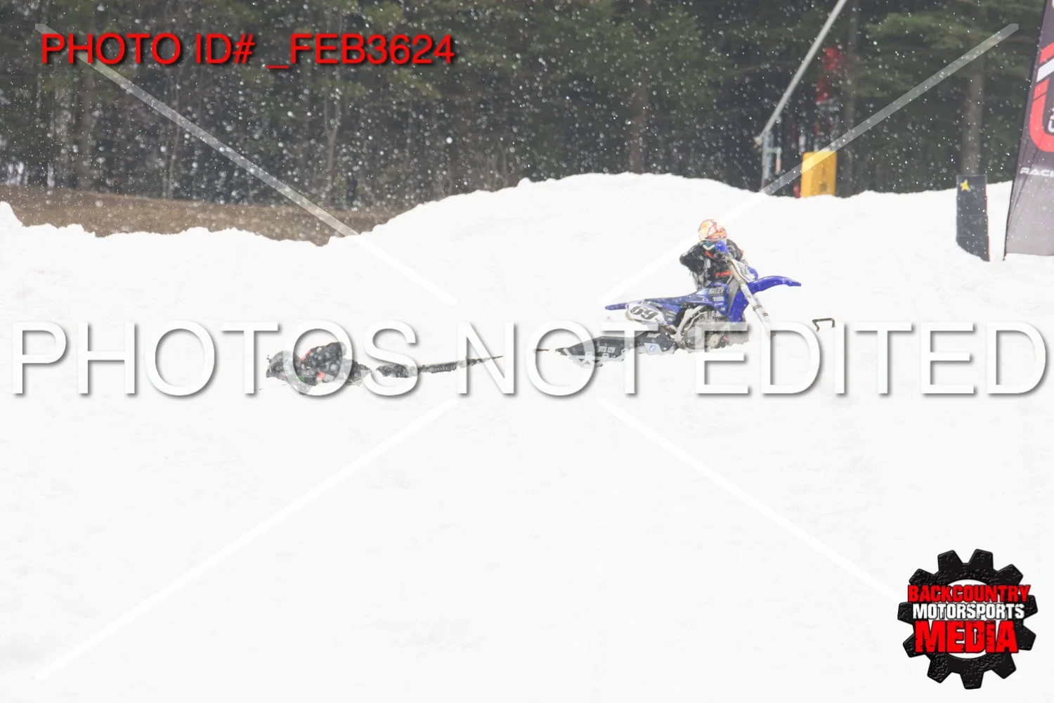 _FEB3624.jpg