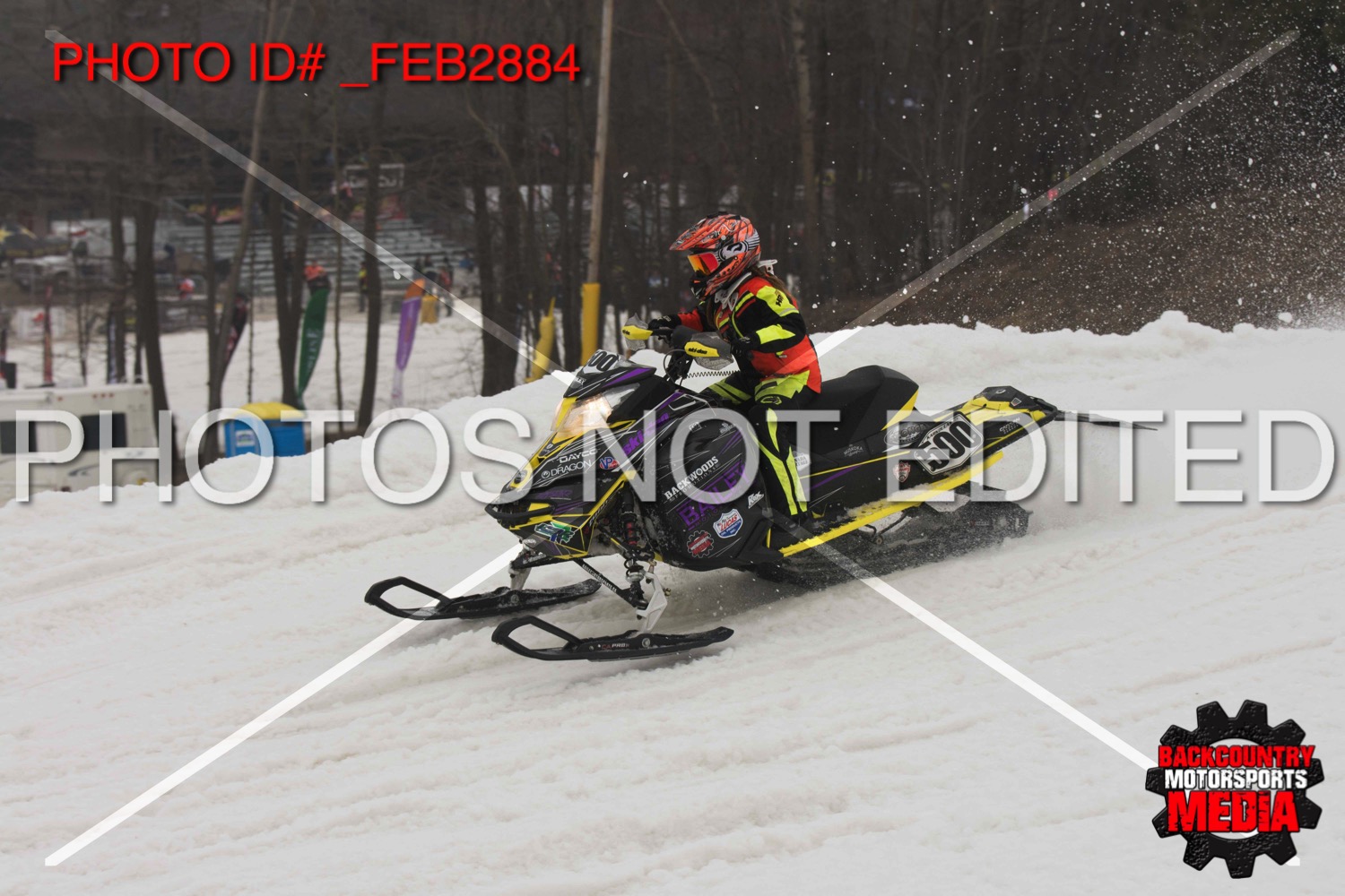 _FEB2884.jpg